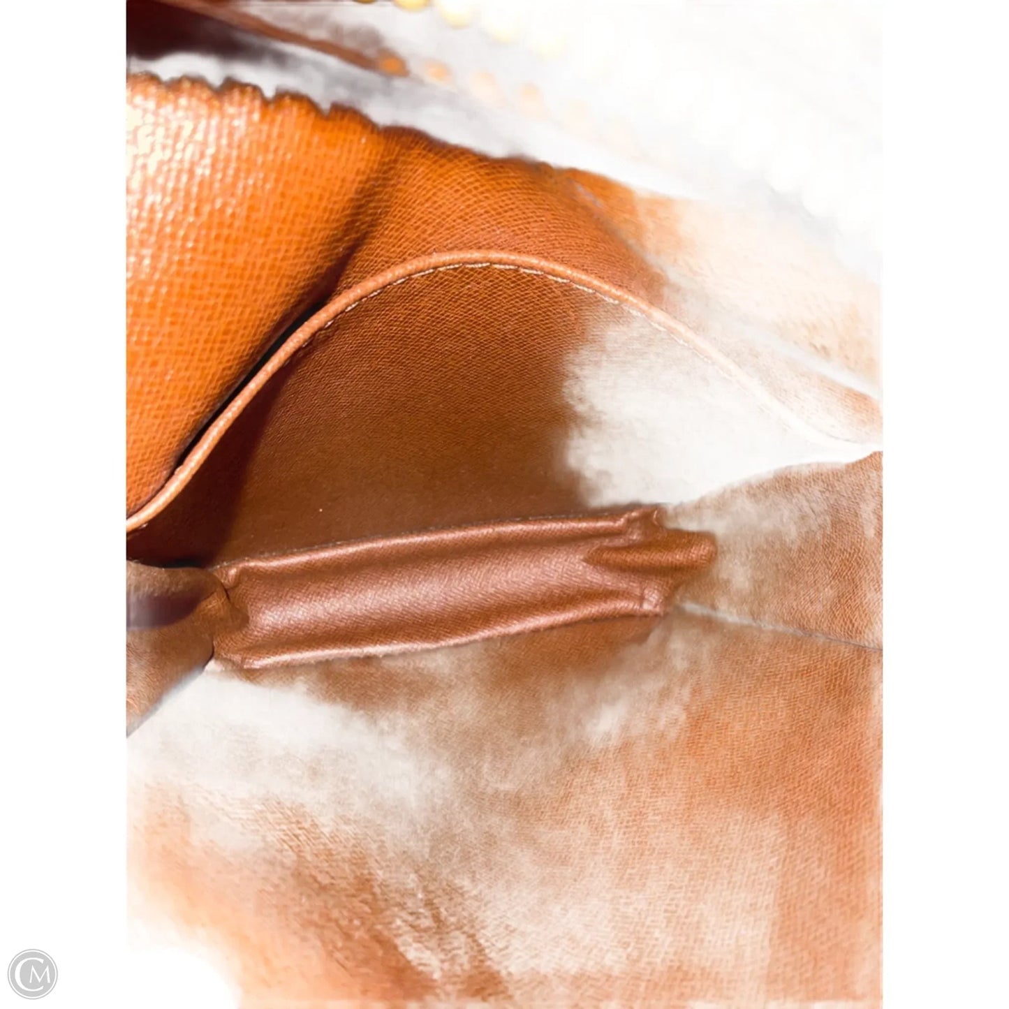 Danube PM Crossbody By Louis Vuitton, Size: Small