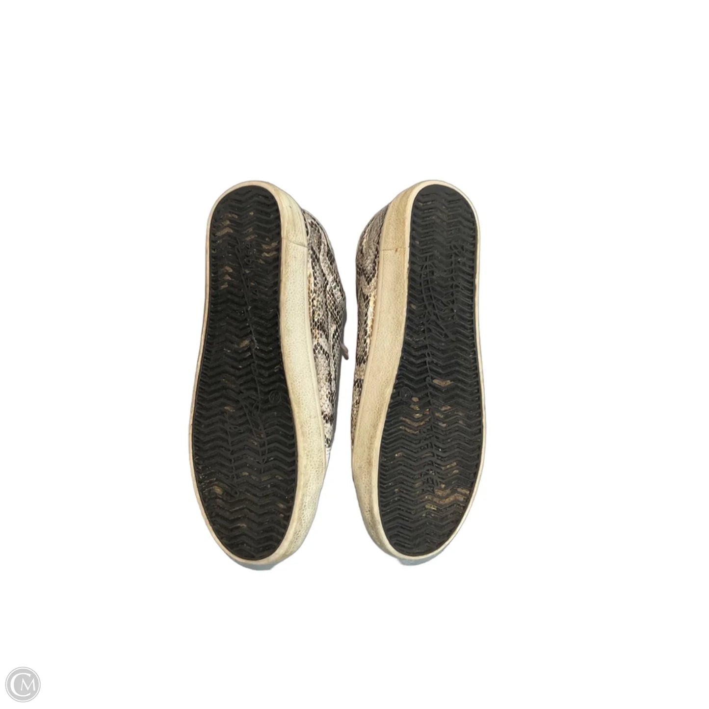 Shoes Sneakers By Vintage Havana In Snakeskin Print, Size: 8.5