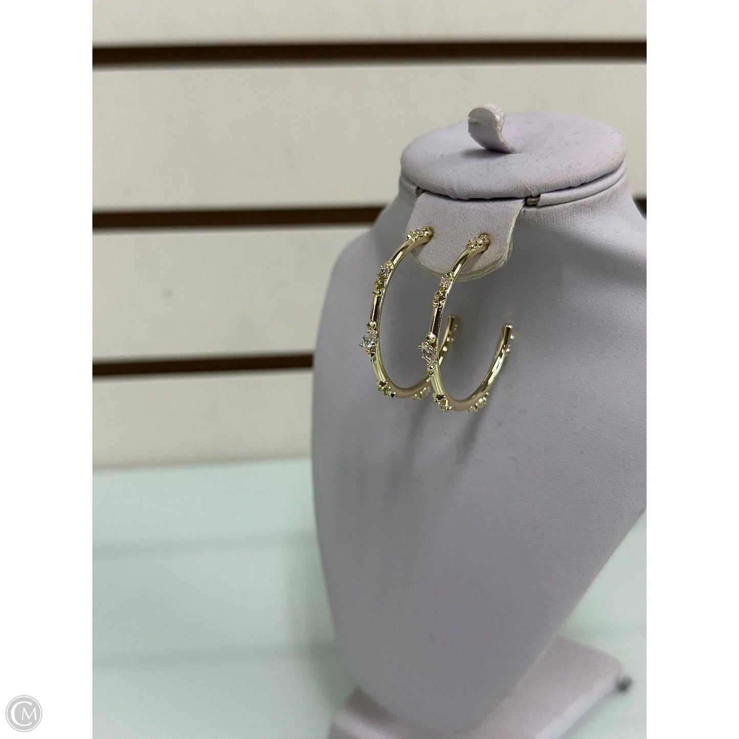 Earrings Hoop By Kendra Scott