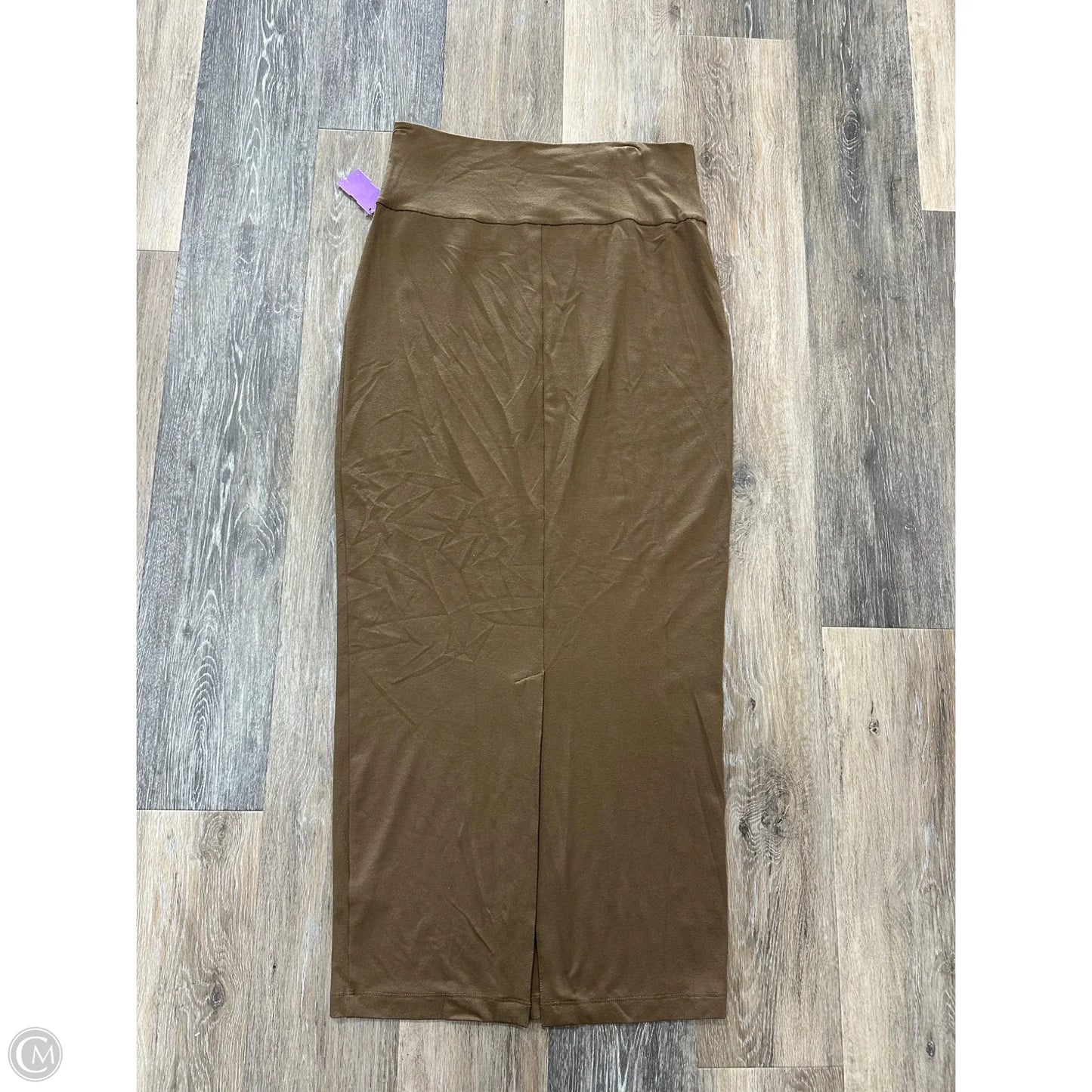 Skirt Maxi By Eileen Fisher In Brown, Size: S