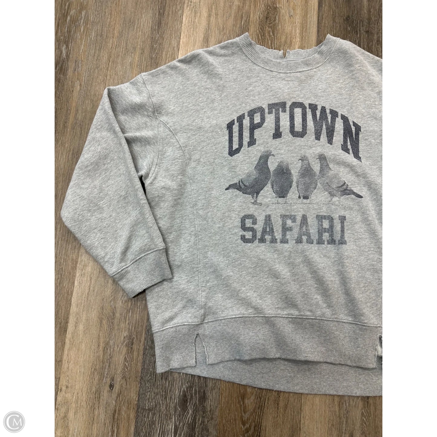 Sweatshirt Crewneck By Aerie In Grey, Size: S
