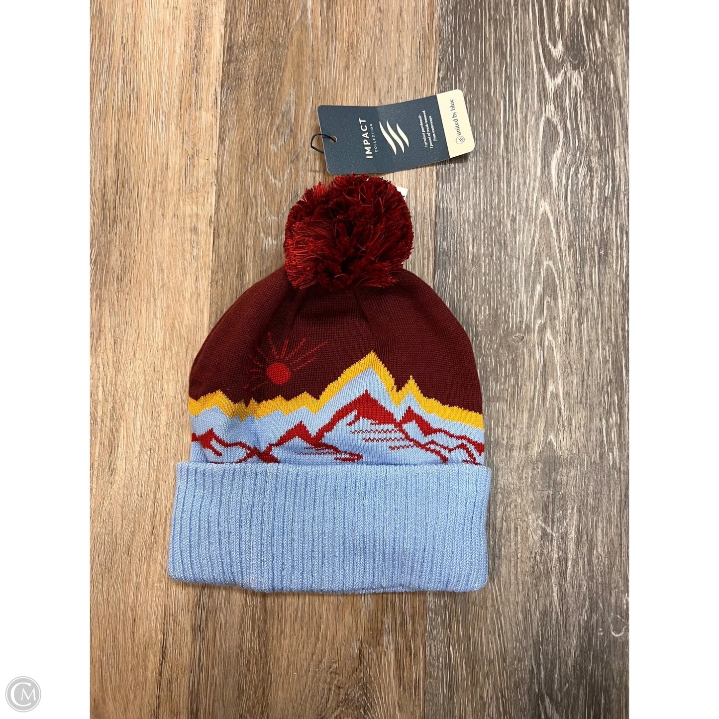 Hat Beanie By IMPACT