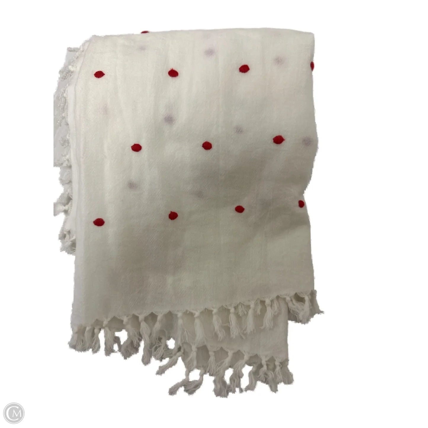 Scarf Long By Ann Taylor