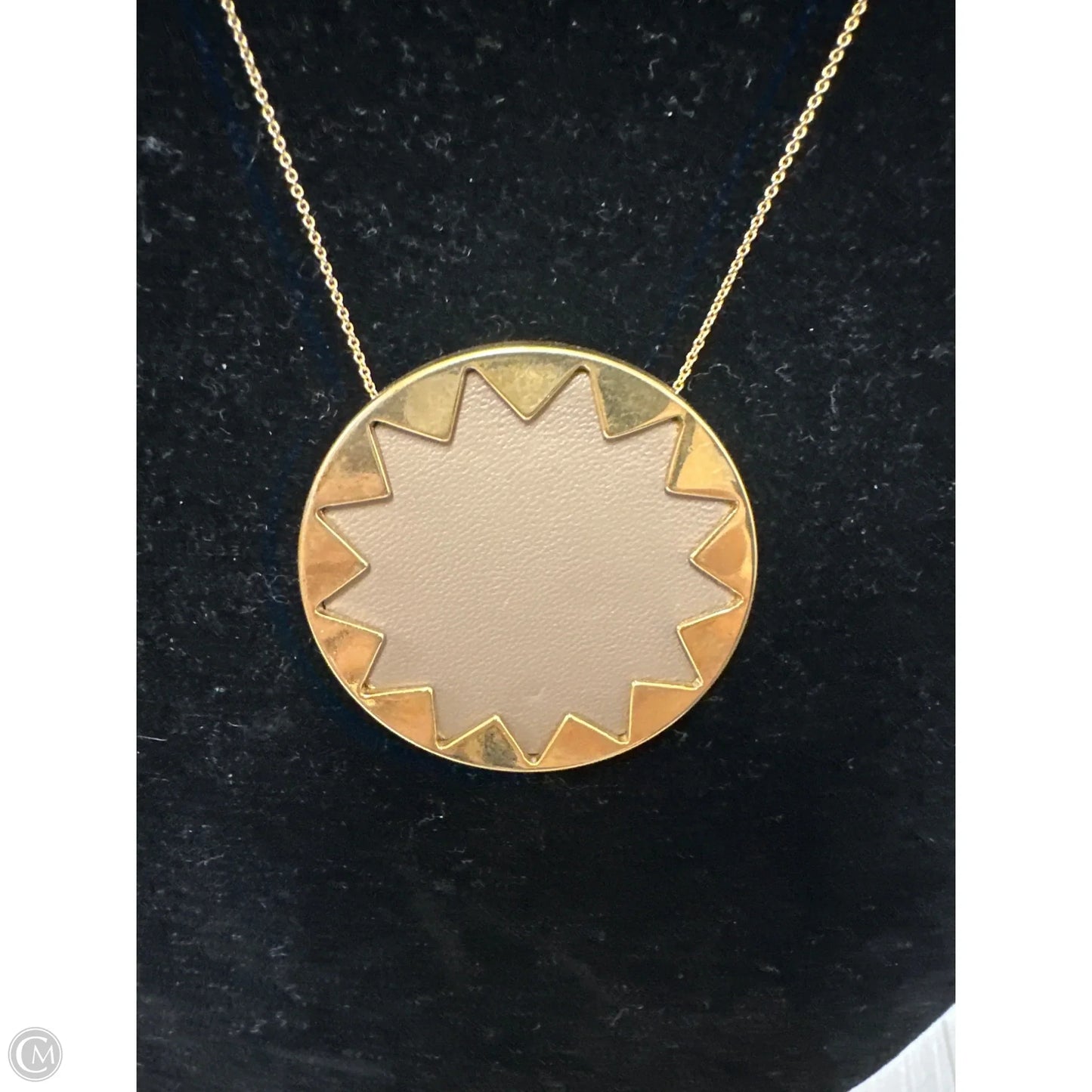 Necklace Pendant By Clothes Mentor