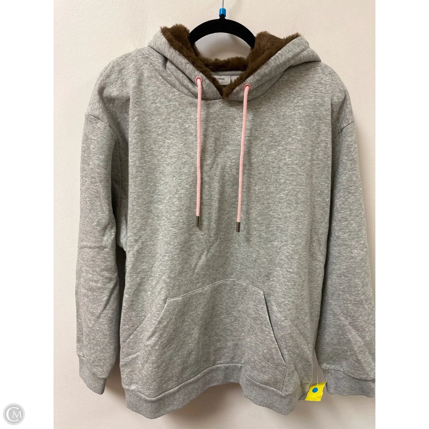 Sweatshirt Hoodie By Clothes Mentor In Grey, Size: 1x