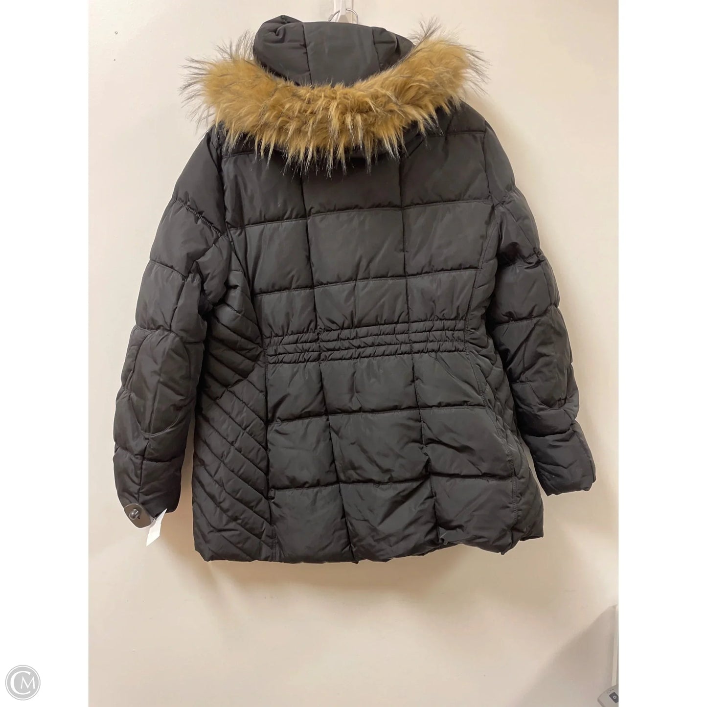 Coat Parka By Tommy Hilfiger In Black, Size: 1x