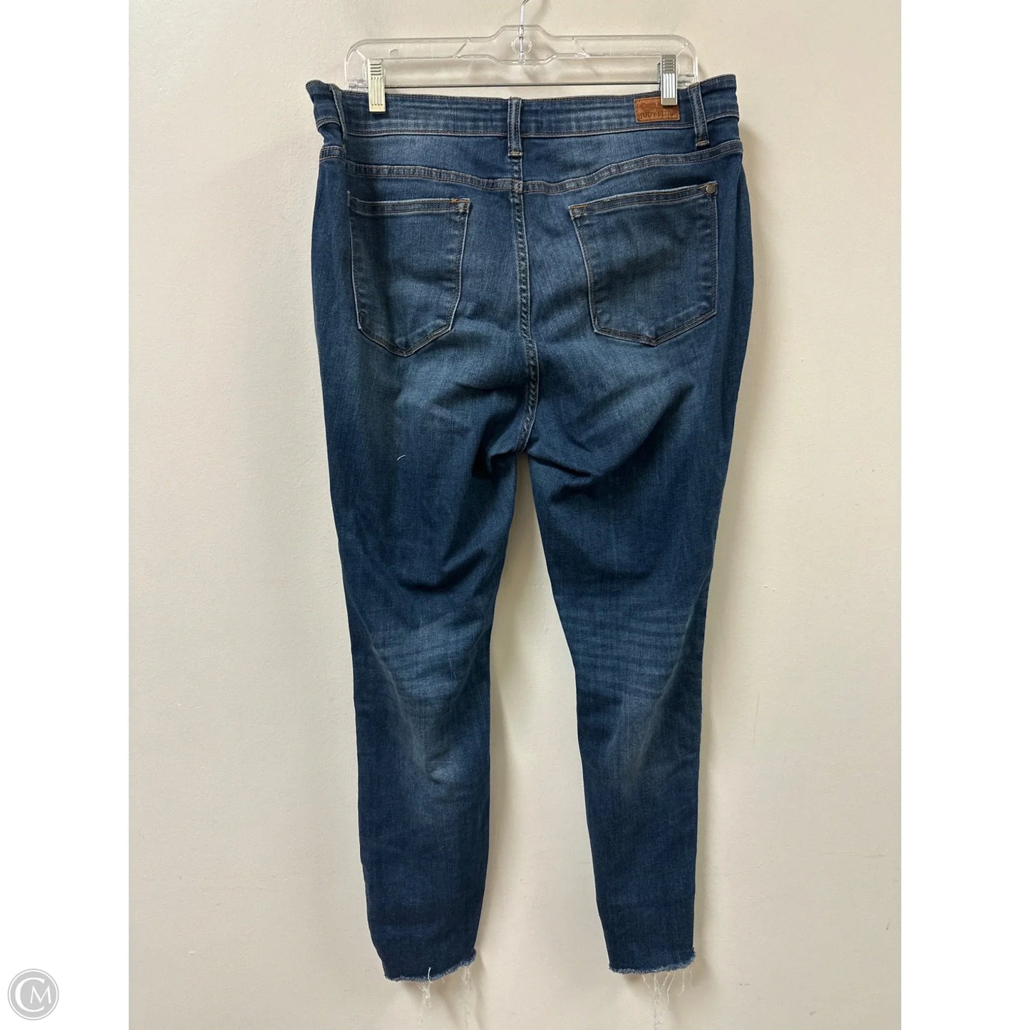 Jeans Skinny By Judy Blue In Blue Denim, Size: 14