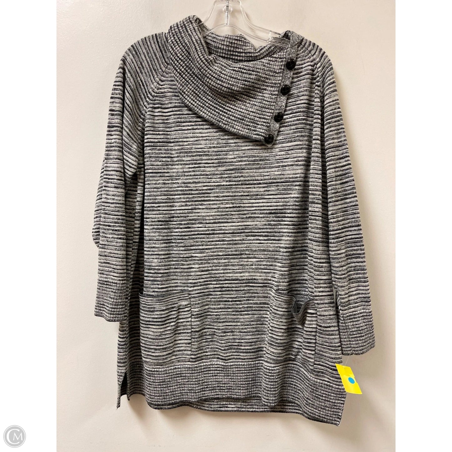 Tunic Long Sleeve By Eight Eight Eight In Grey, Size: 1x