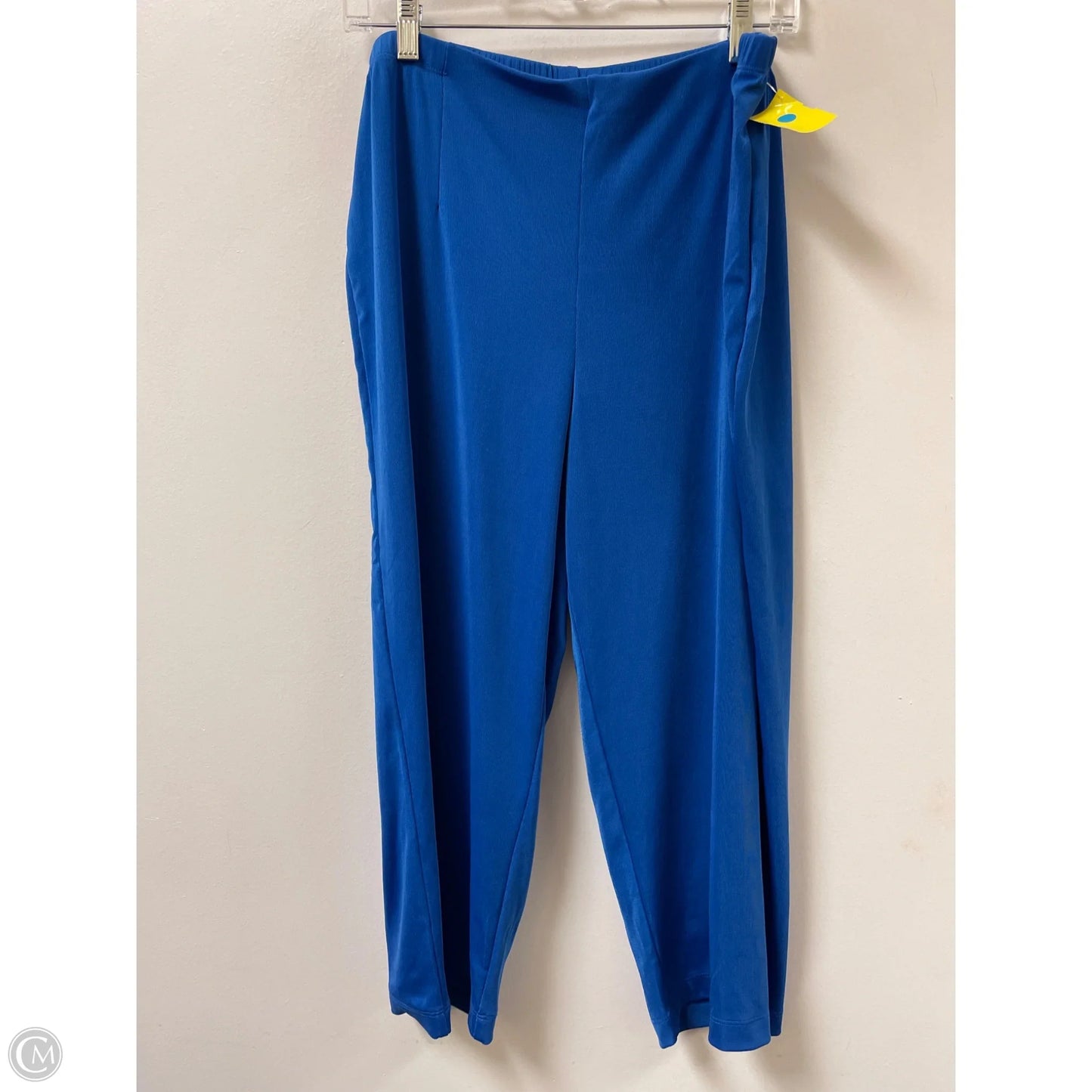 Pants Leggings By Chicos In Blue, Size: Xl