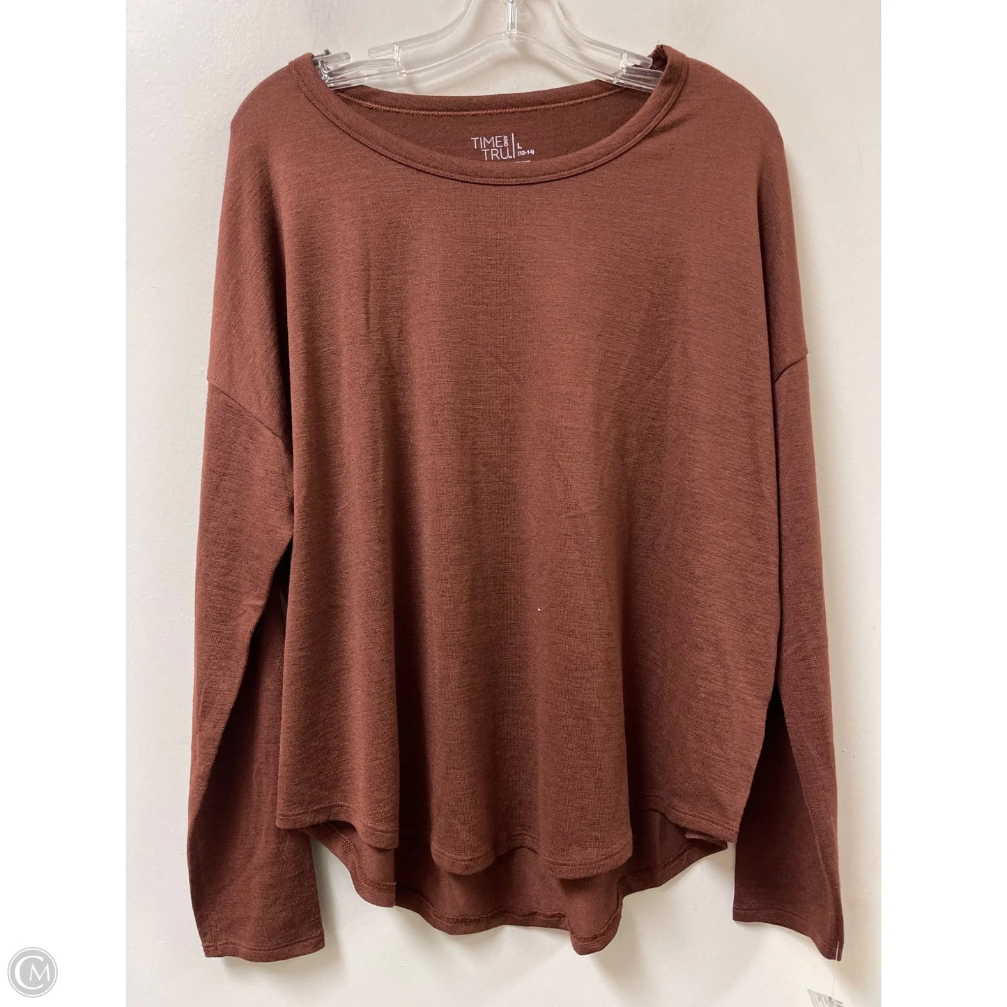 Top Long Sleeve By Time And Tru In Brown, Size: L
