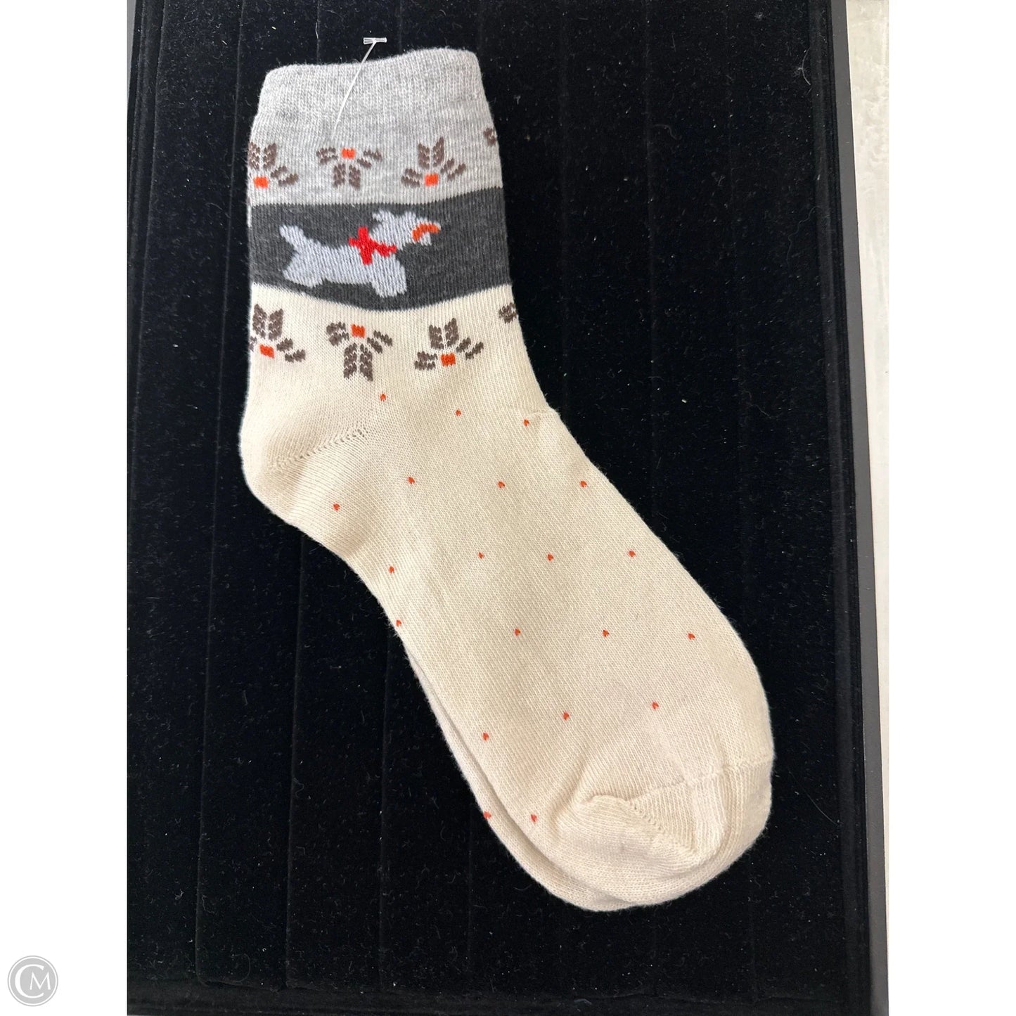 Socks By Clothes Mentor In Cream, Size: 0
