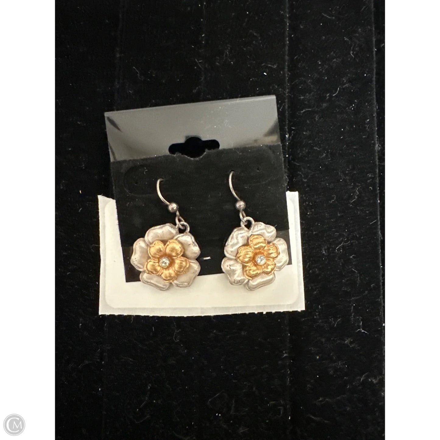 Earrings Other By Brighton