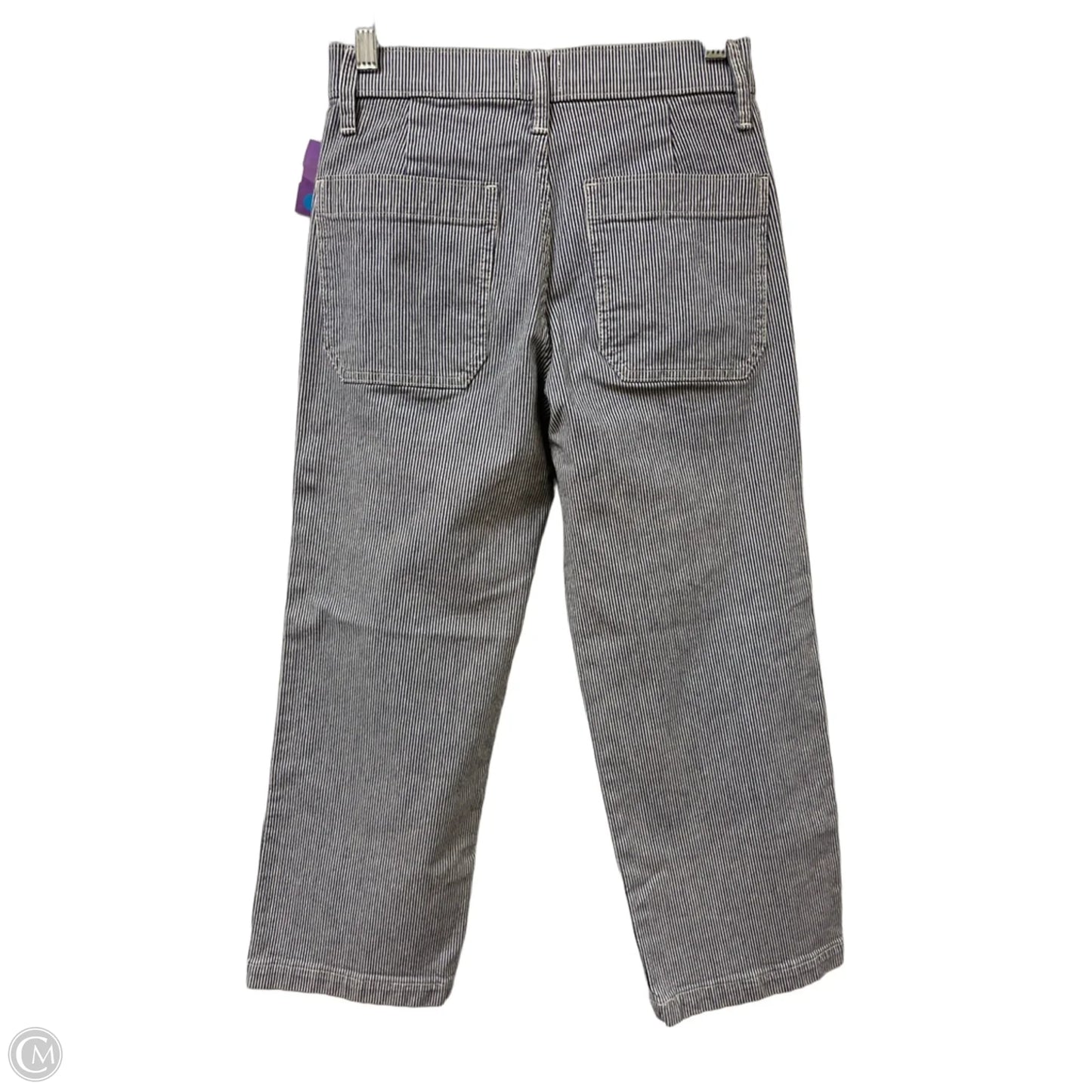 Pants Other By J. Crew In Blue, Size: 2