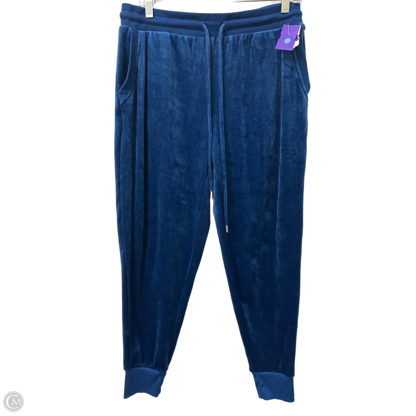 Athletic Pants By Felina In Blue, Size: L