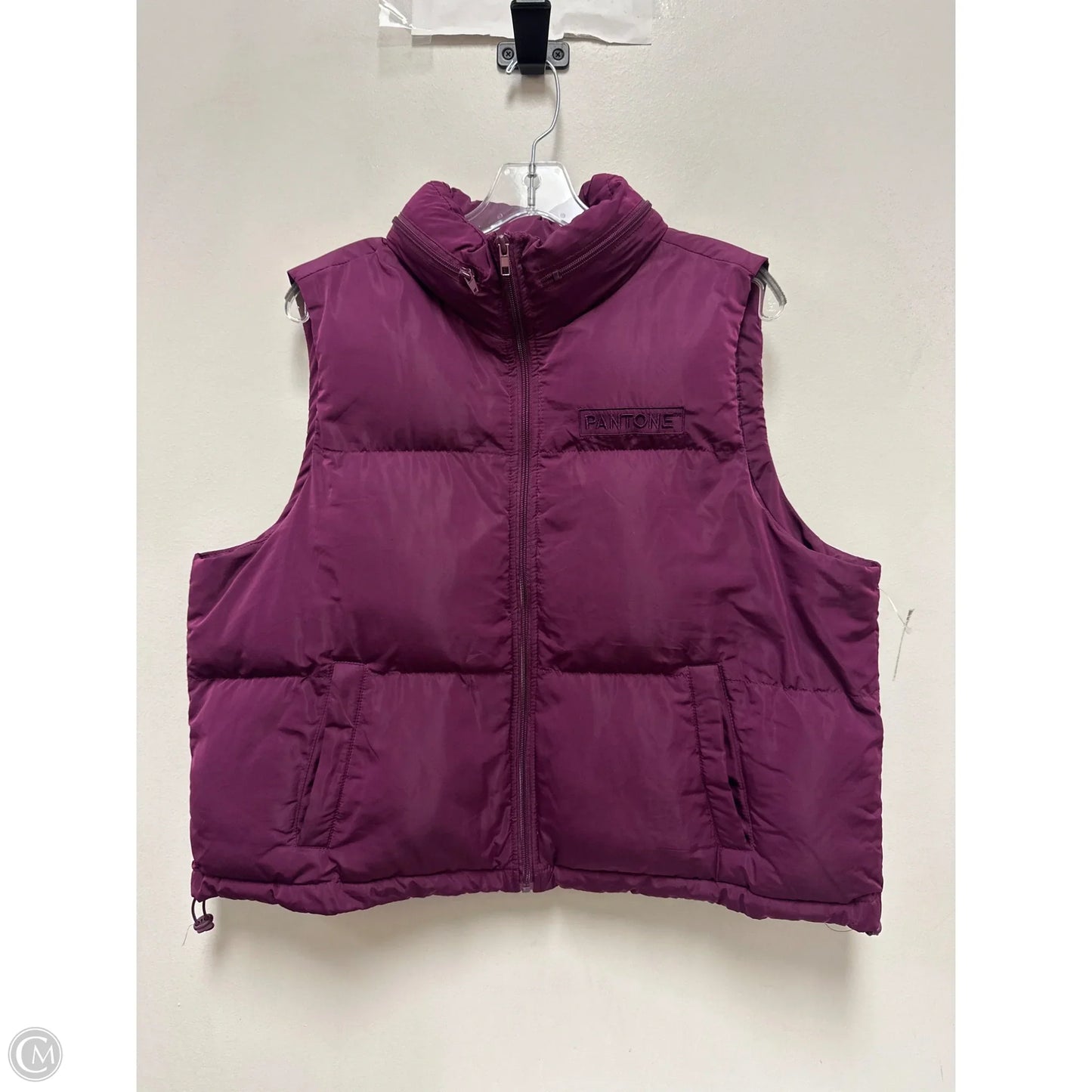 Vest Puffer & Quilted By Forever 21 In Purple, Size: 1x