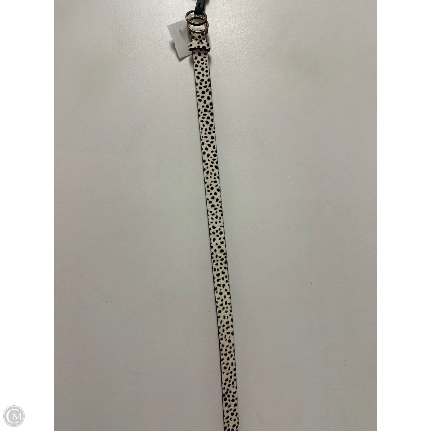 Belt By Clothes Mentor