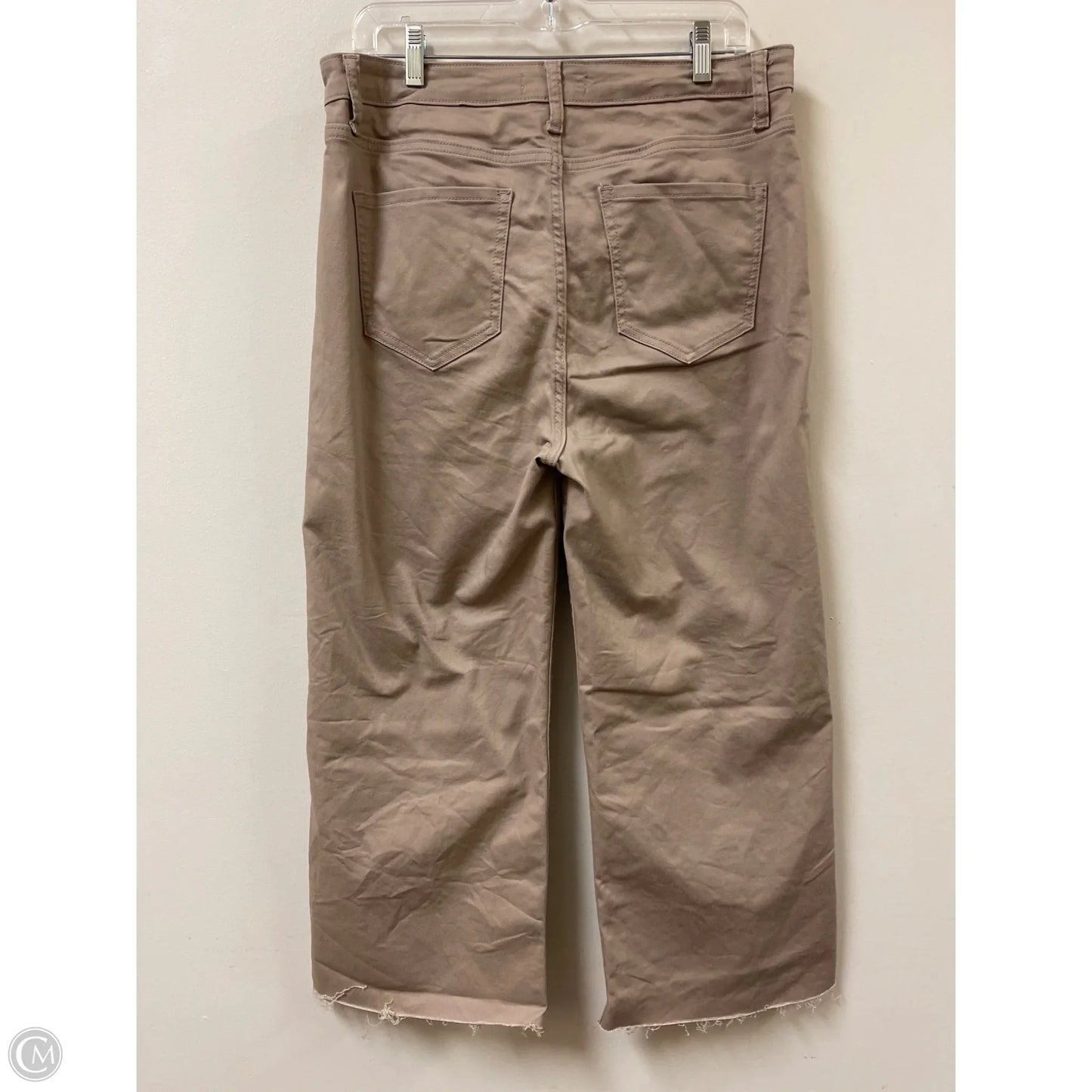 Pants Wide Leg By Zenana In Taupe, Size: 16