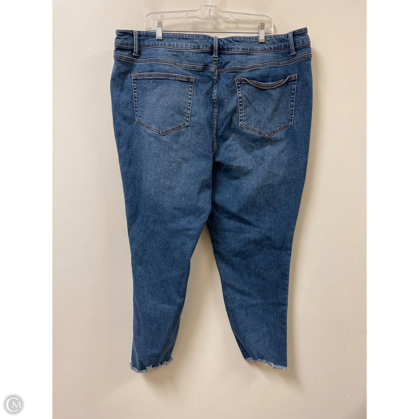 Jeans Skinny By Terra & Sky In Blue Denim, Size: 22