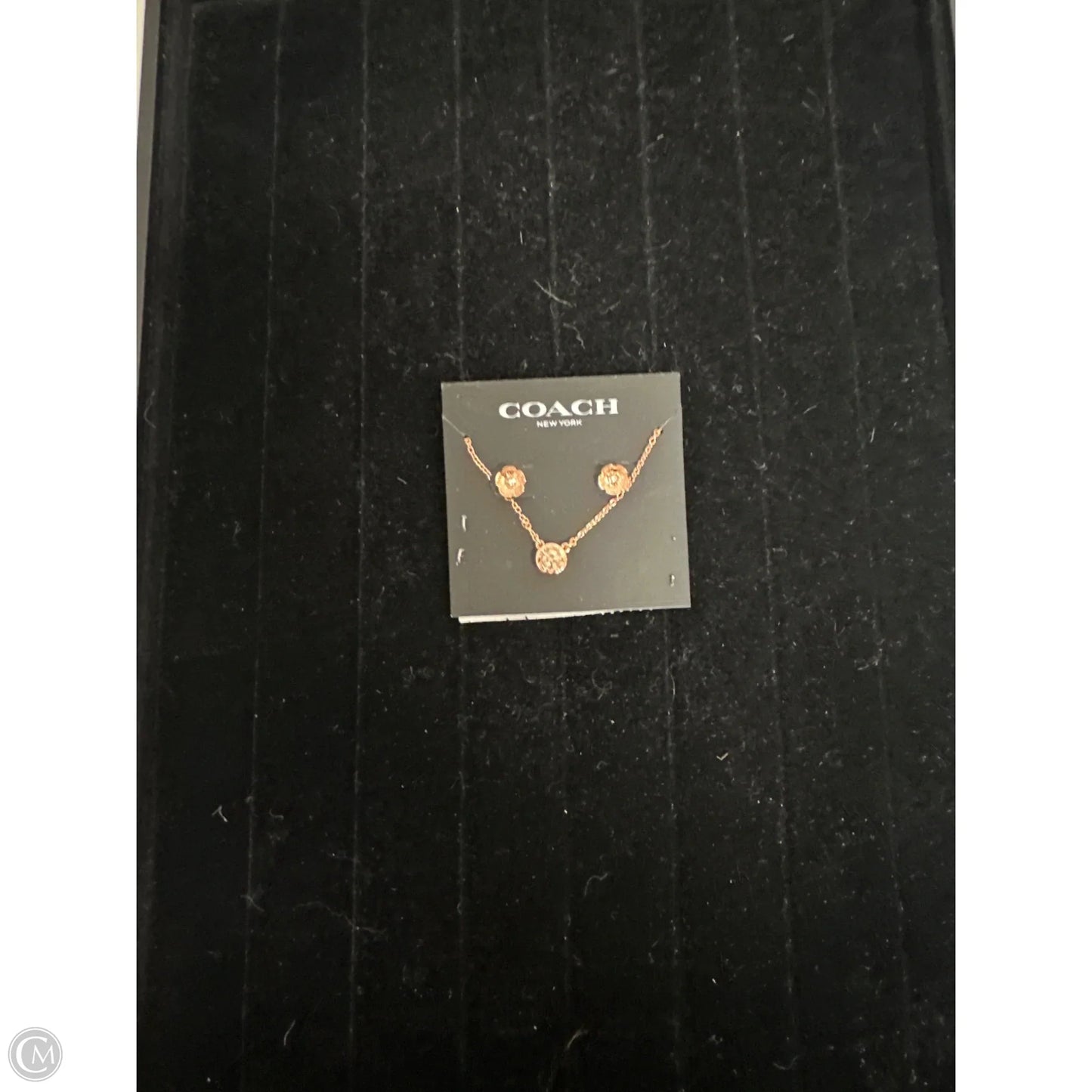 Accessory Designer Label By Coach