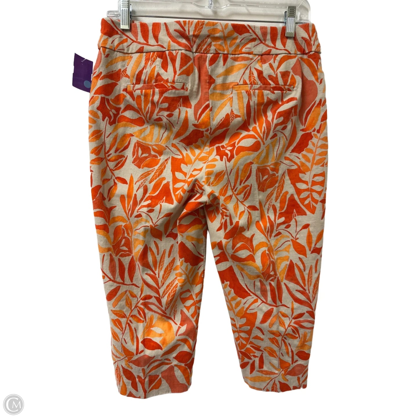 Shorts By Chicos In Cream & Orange, Size: 6