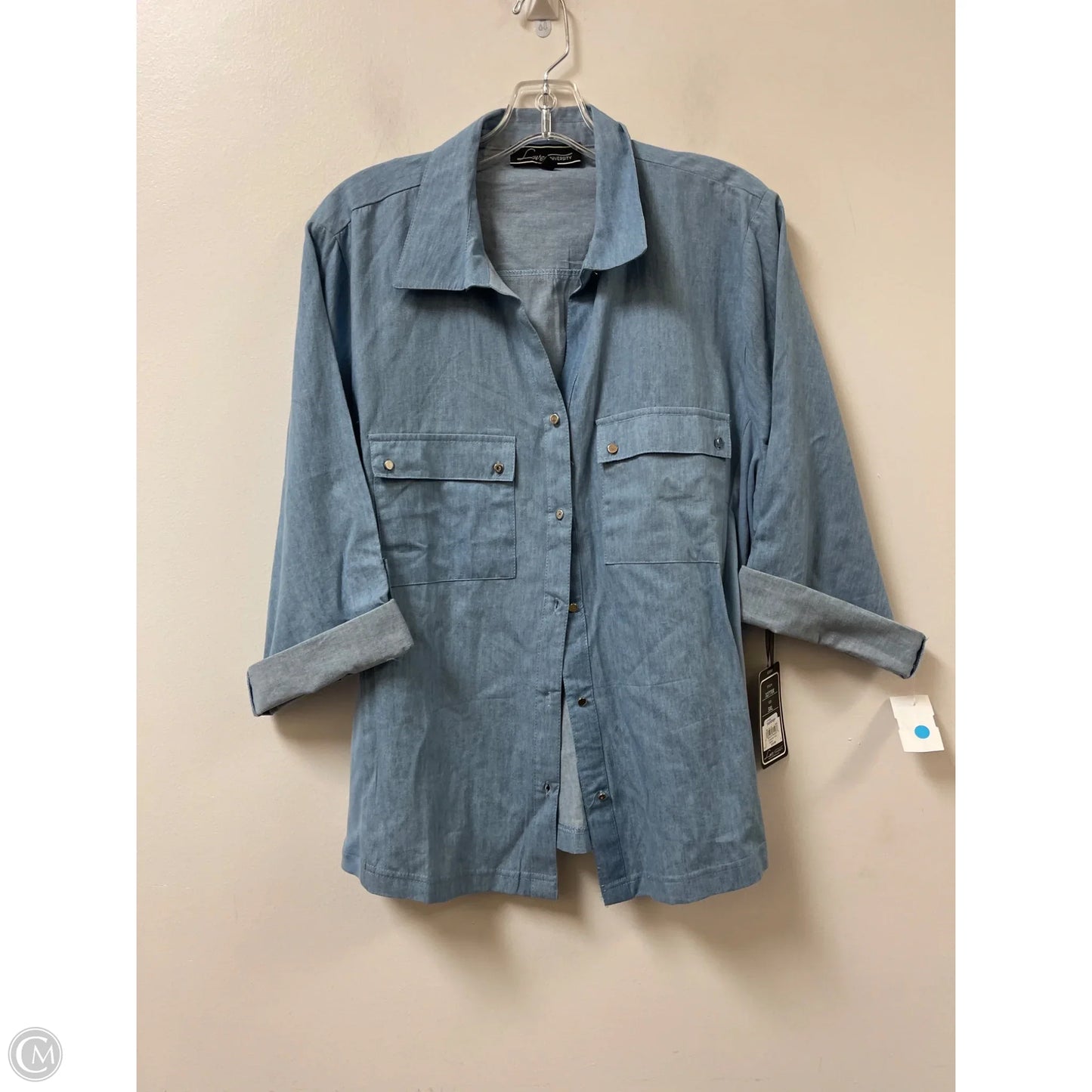 Blouse Long Sleeve By Clothes Mentor In Blue, Size: 3x