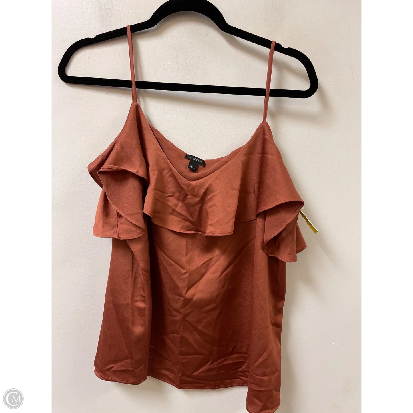 Top Sleeveless By Ann Taylor In Brown, Size: L