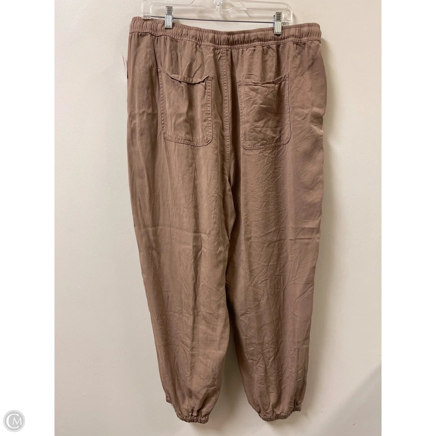 Pants Other By Time And Tru In Brown, Size: 16