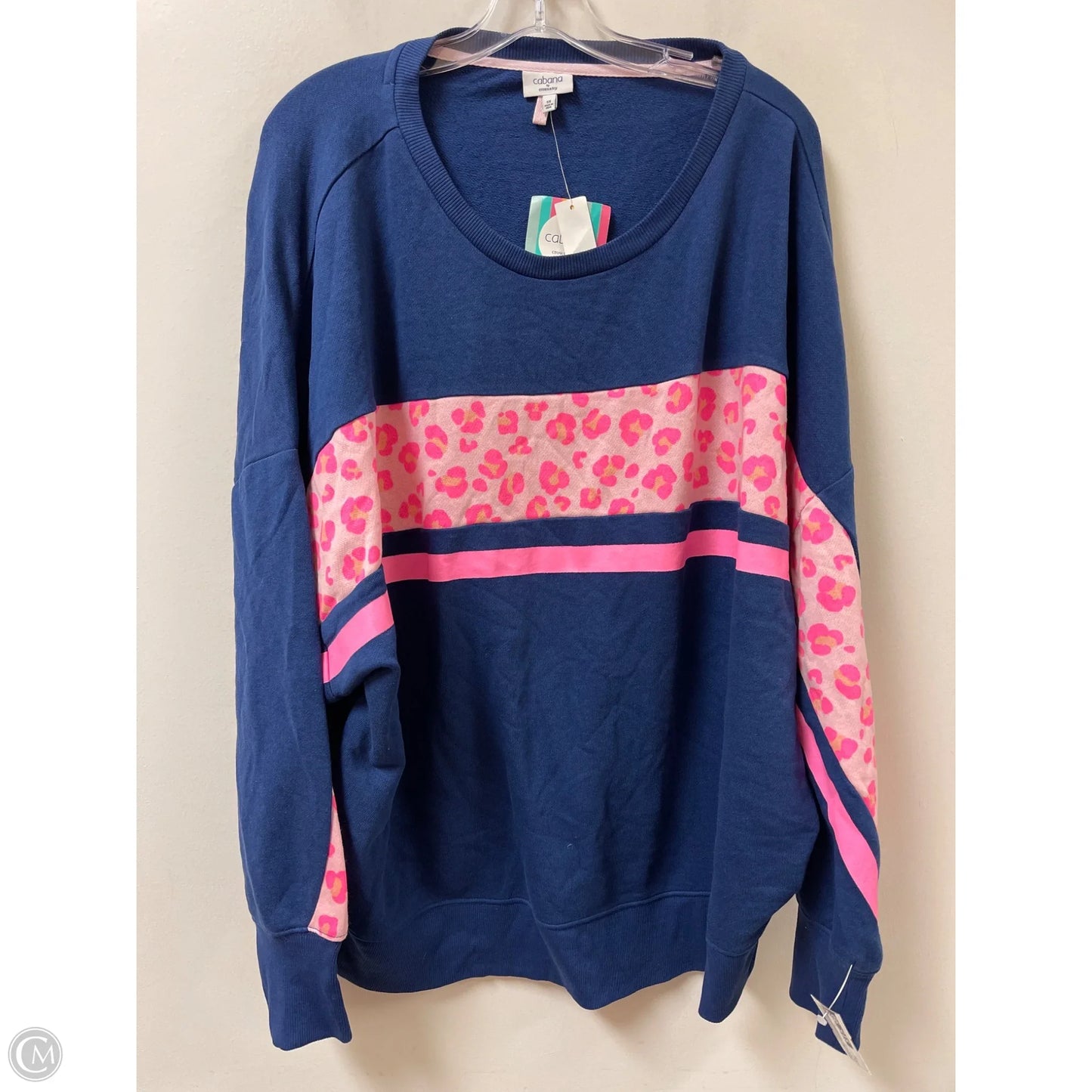 Sweatshirt Crewneck By Crown And Ivy In Blue & Pink, Size: 2x