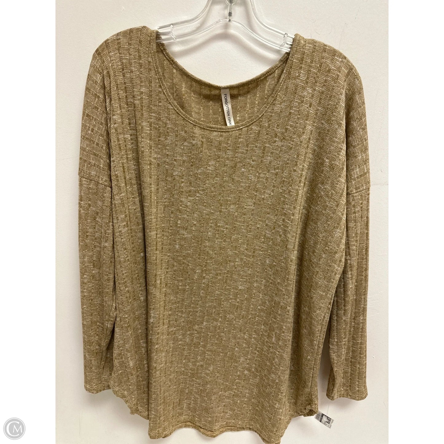 Top Long Sleeve By Clothes Mentor In Tan, Size: 1x