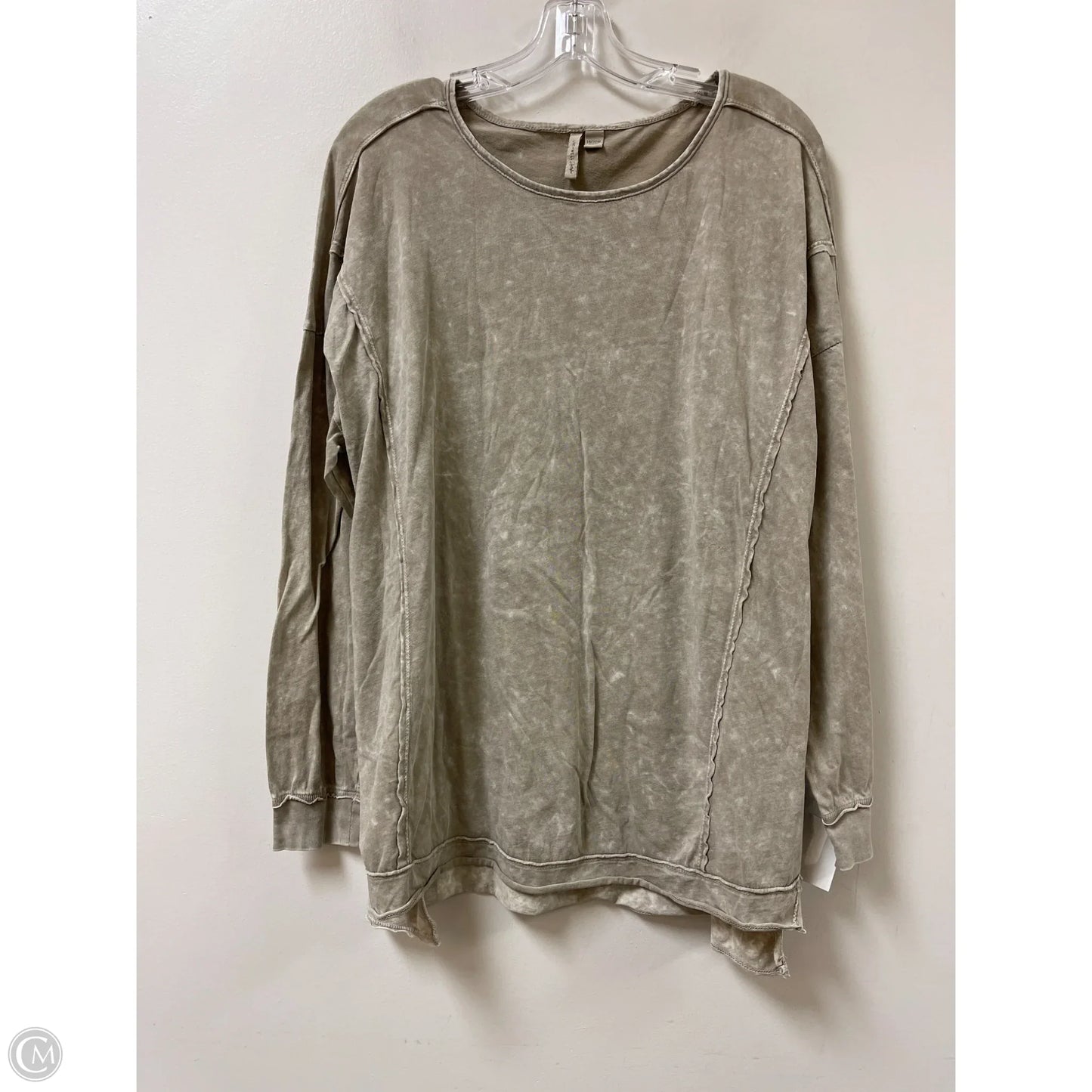 Top Long Sleeve By Cato In Beige, Size: 2x