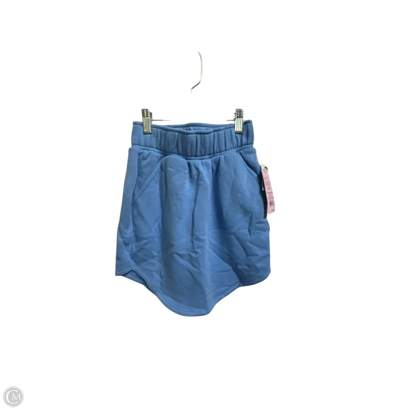 Athletic Skirt By Wild Fable In Blue, Size: Xs