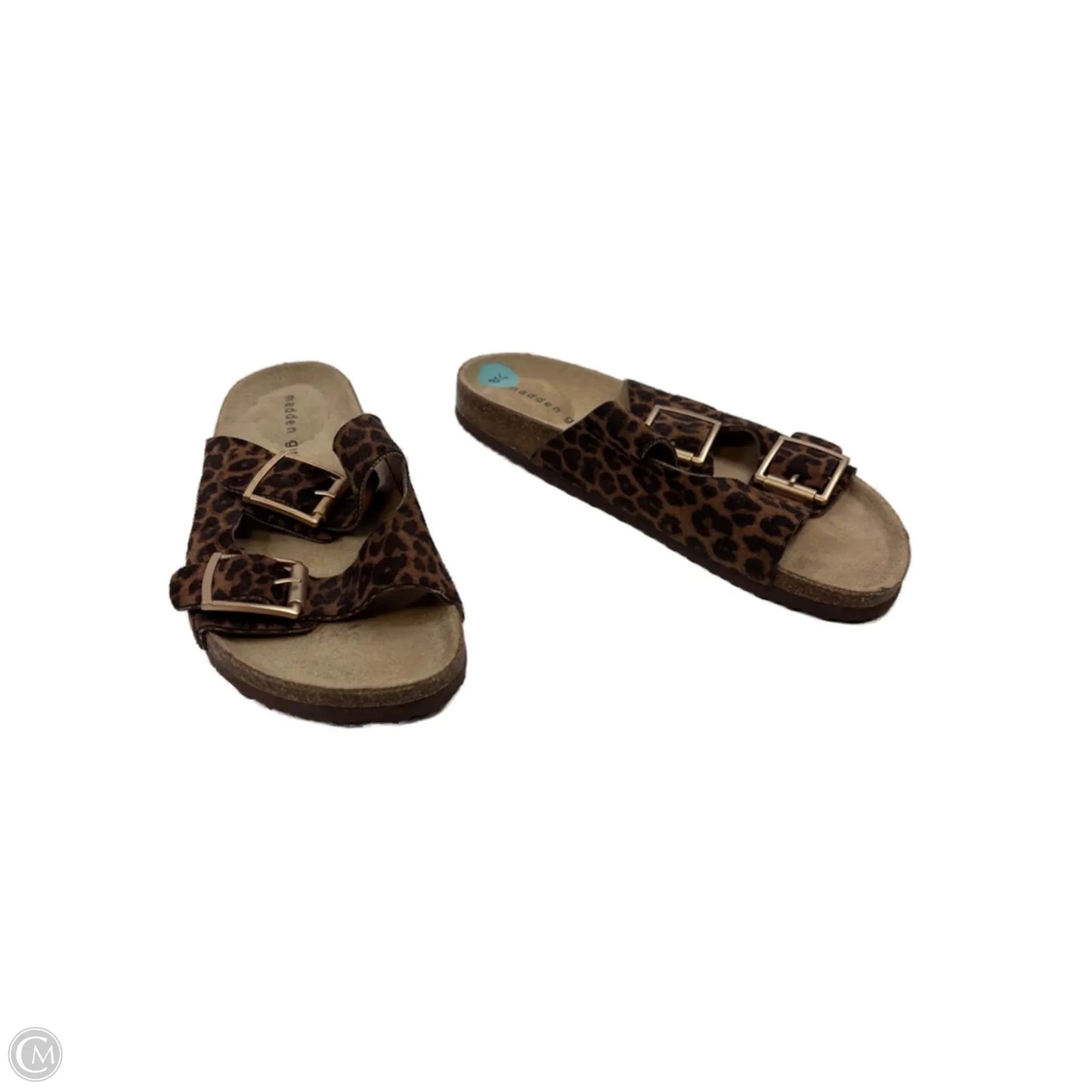 Shoes Flats By Madden Girl In Animal Print, Size: 8.5