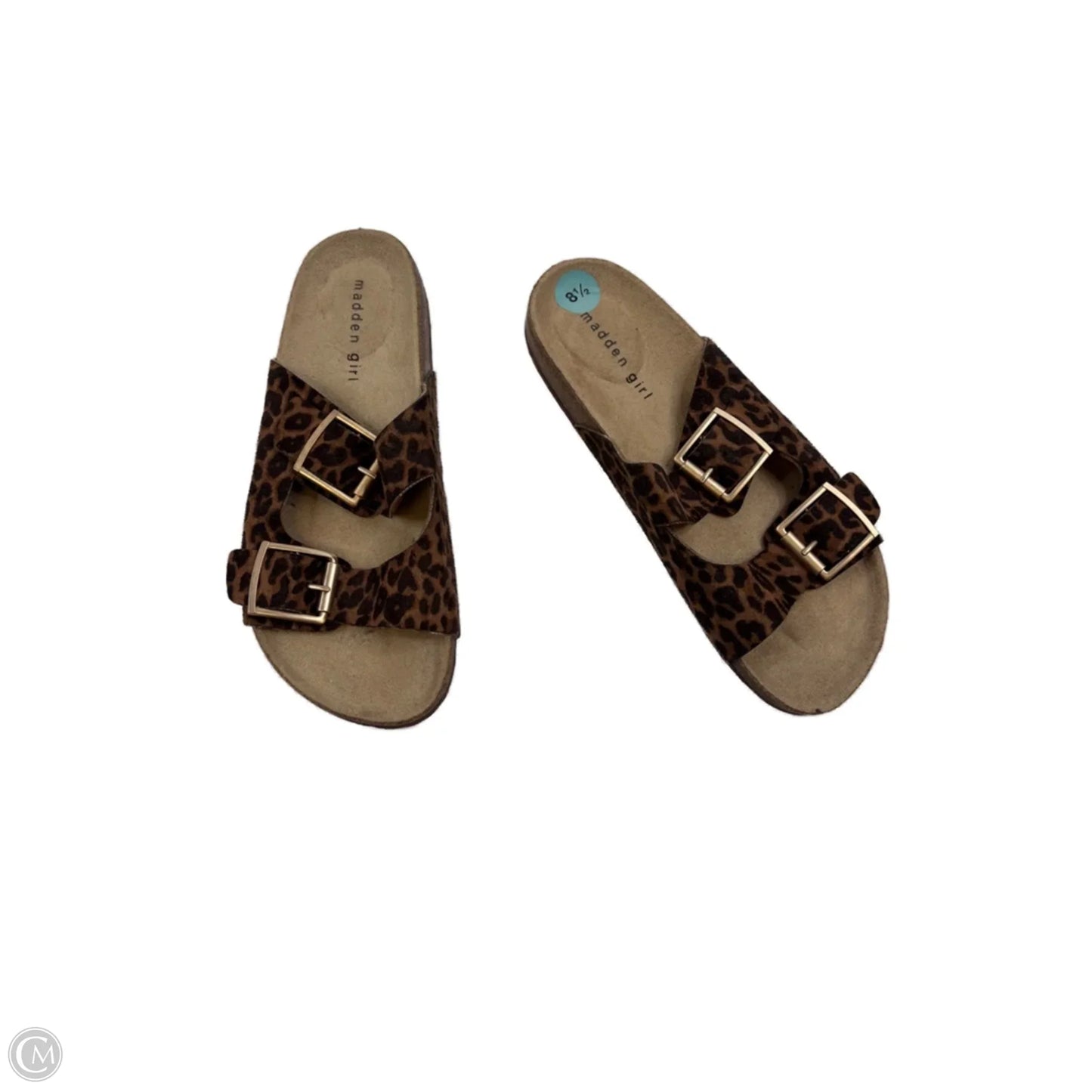 Shoes Flats By Madden Girl In Animal Print, Size: 8.5