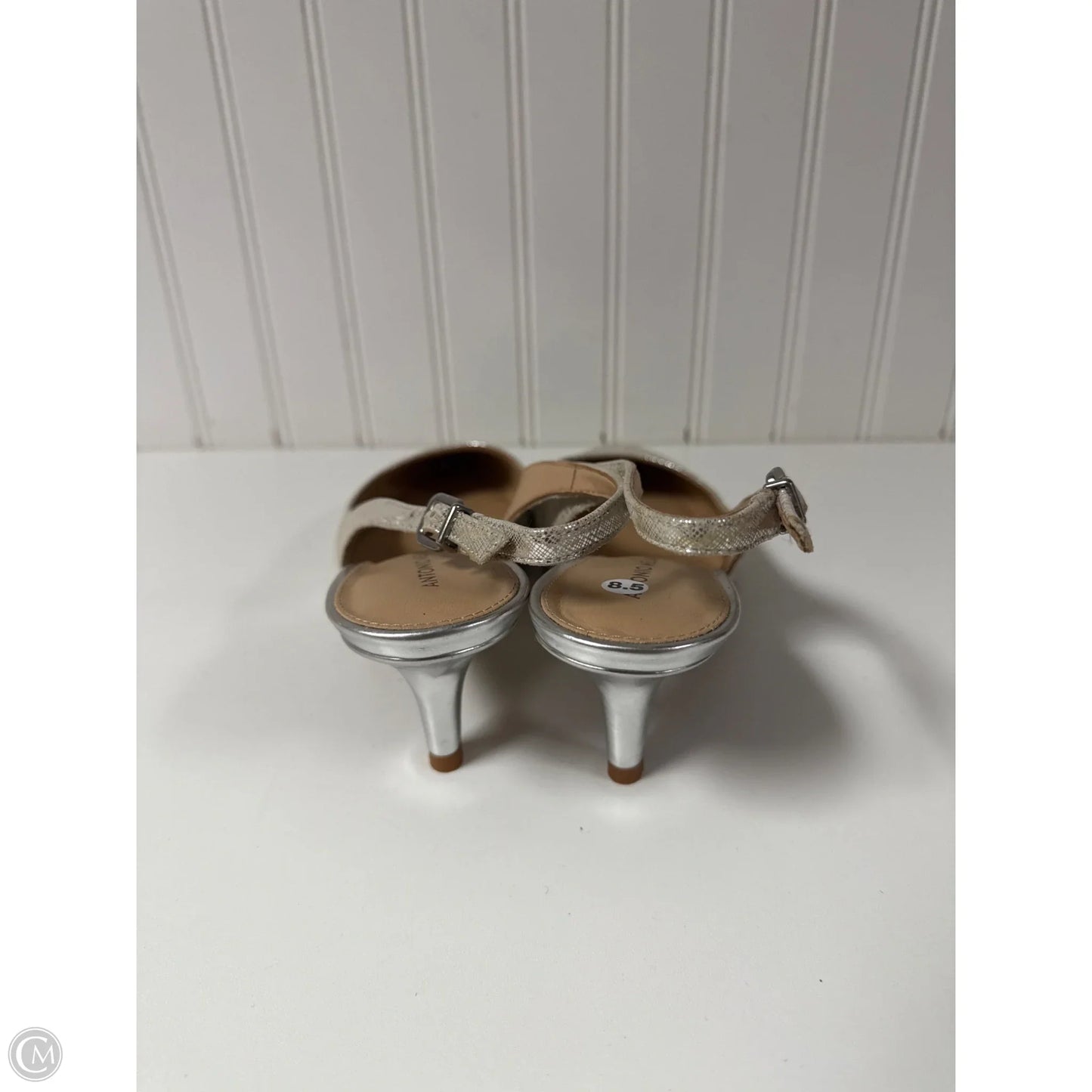 Shoes Heels Stiletto By Antonio Melani In Silver, Size: 8.5