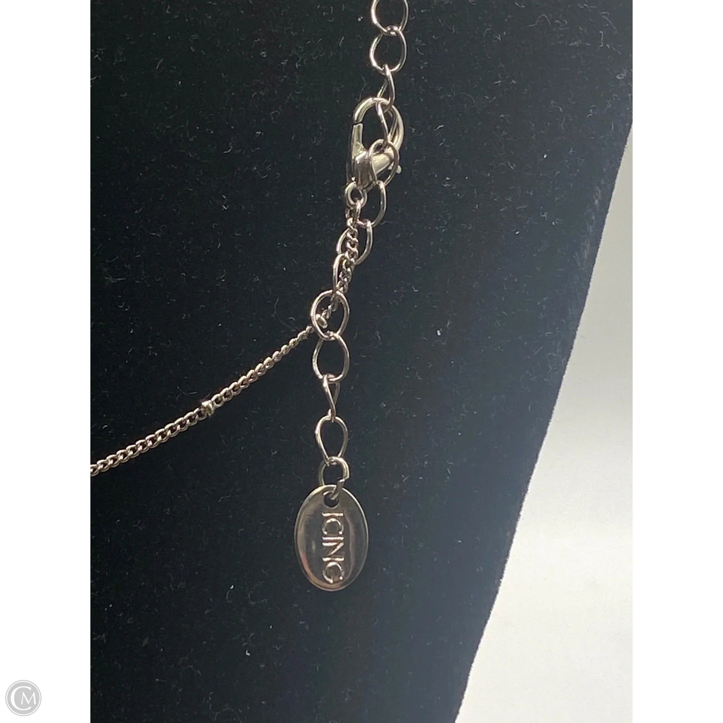 Necklace Pendant By Clothes Mentor