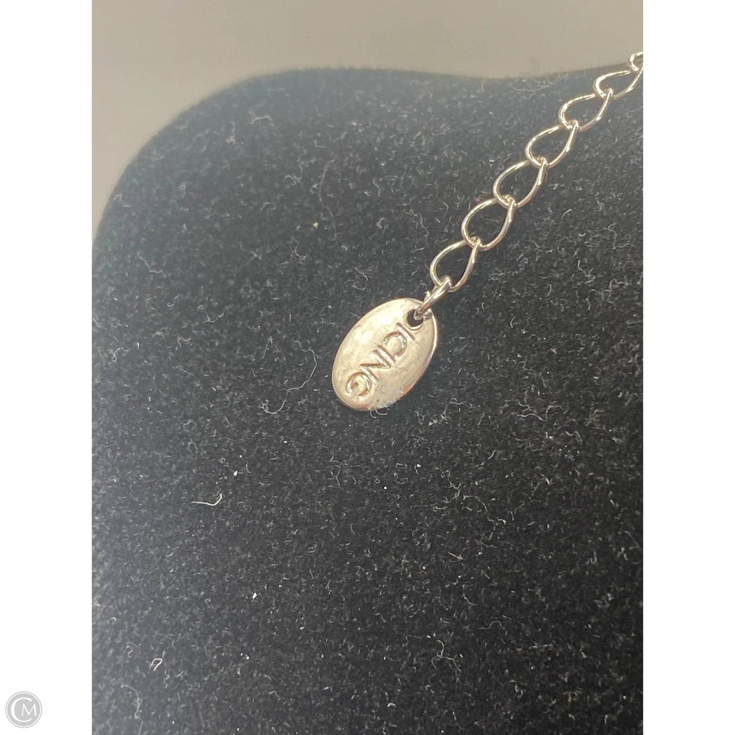 Necklace Pendant By Clothes Mentor