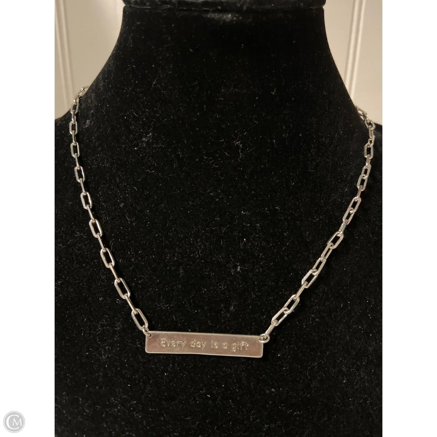 Necklace Chain By Clothes Mentor