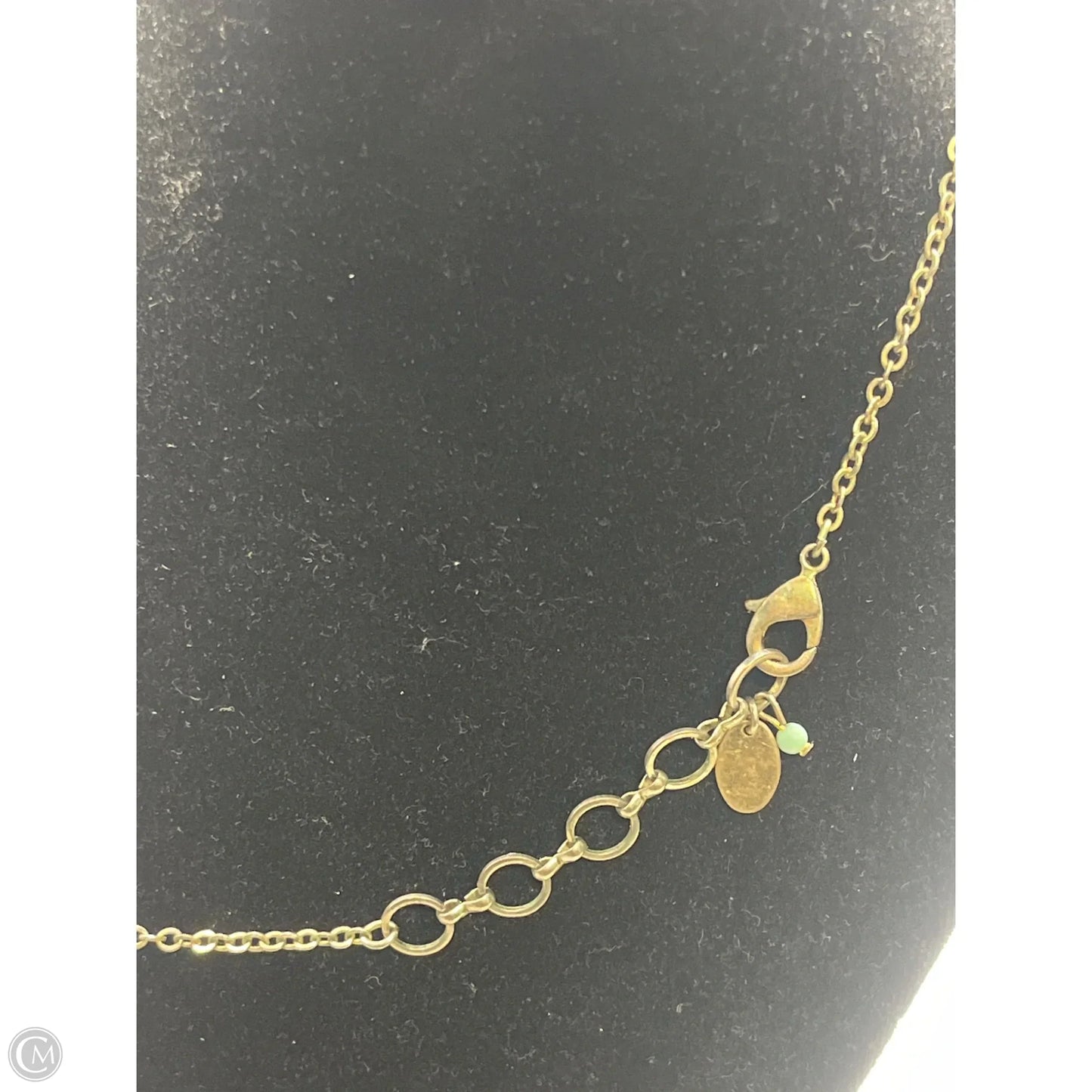 Necklace Chain By Clothes Mentor