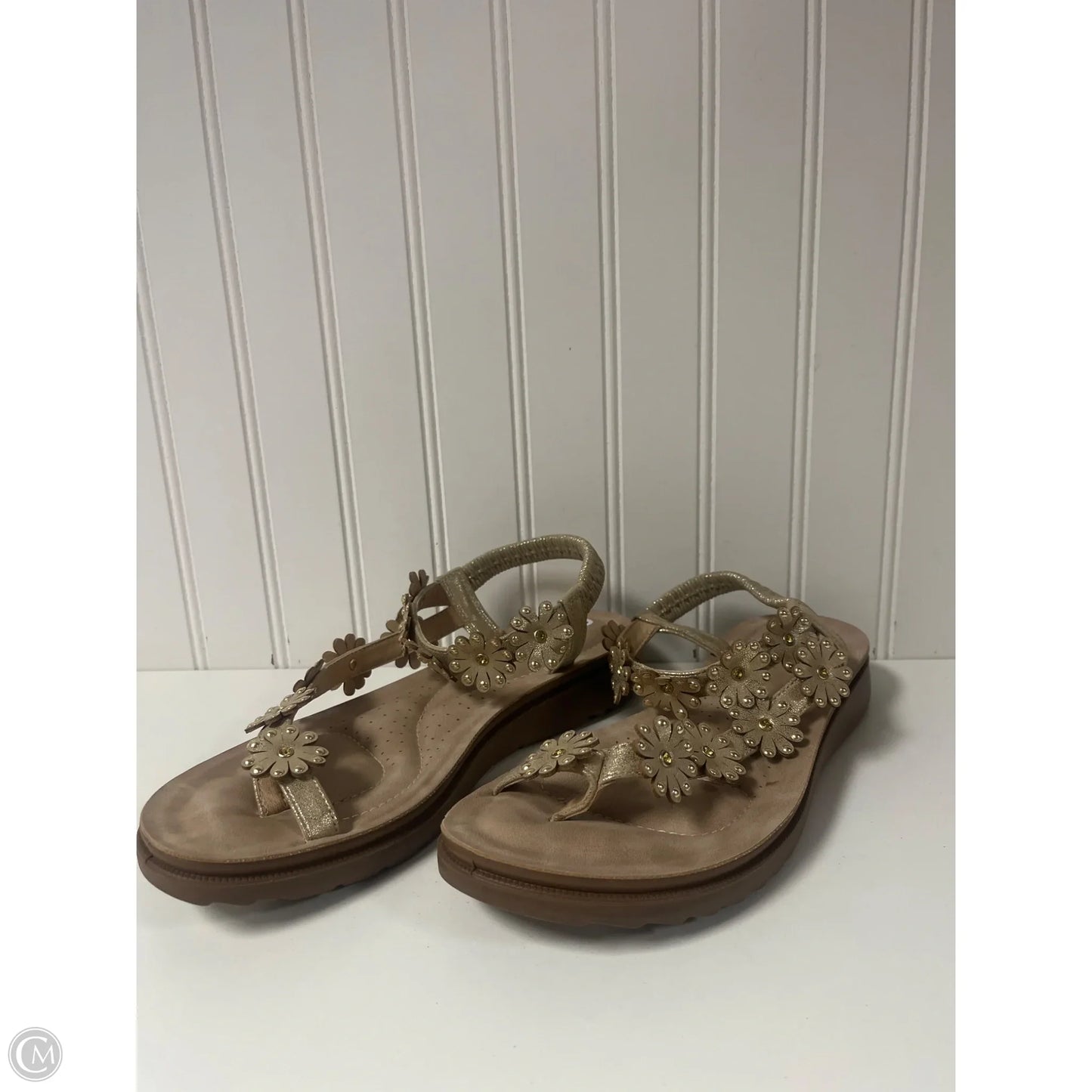 Sandals Flats By Annie In Tan, Size: 10