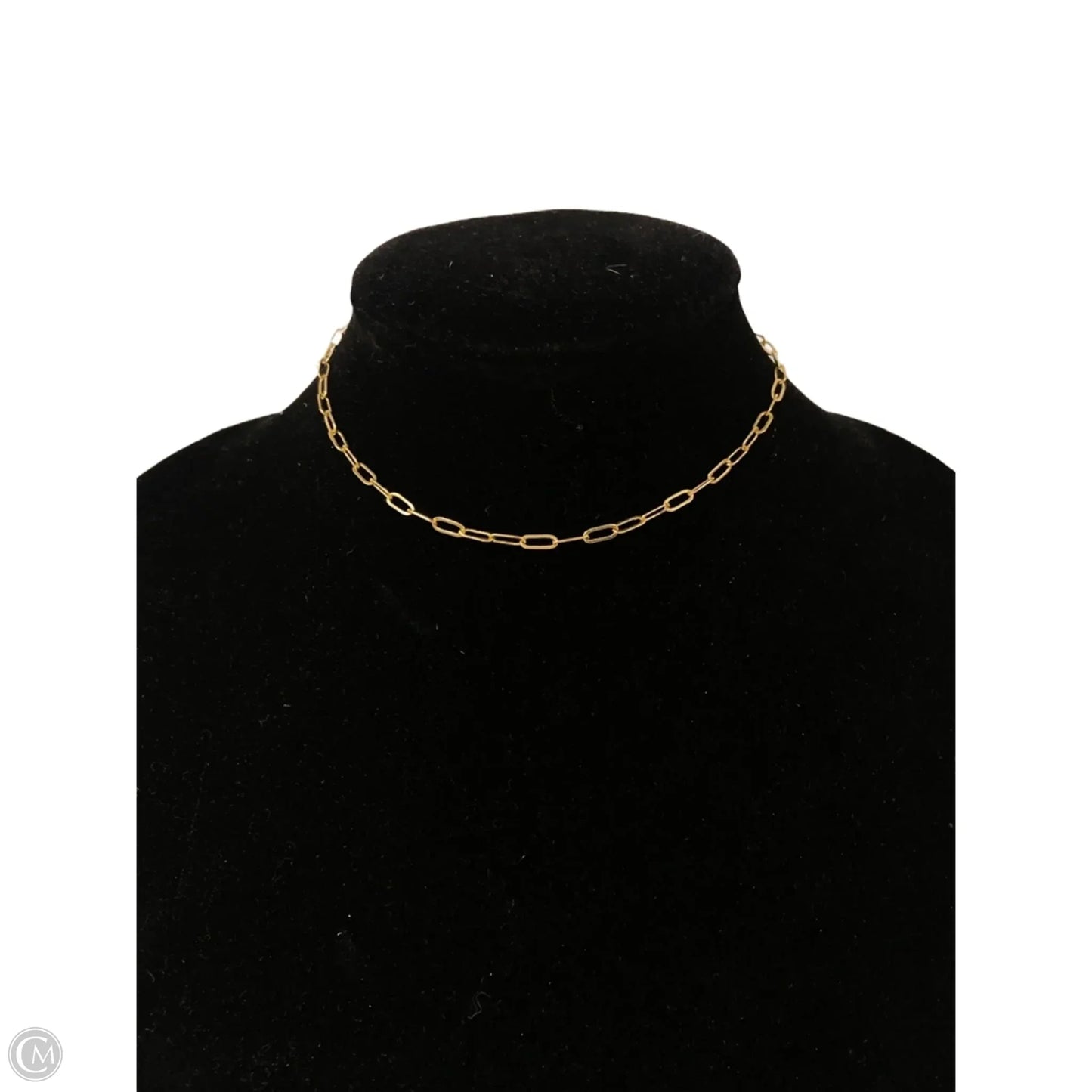 Necklace Chain By Clothes Mentor