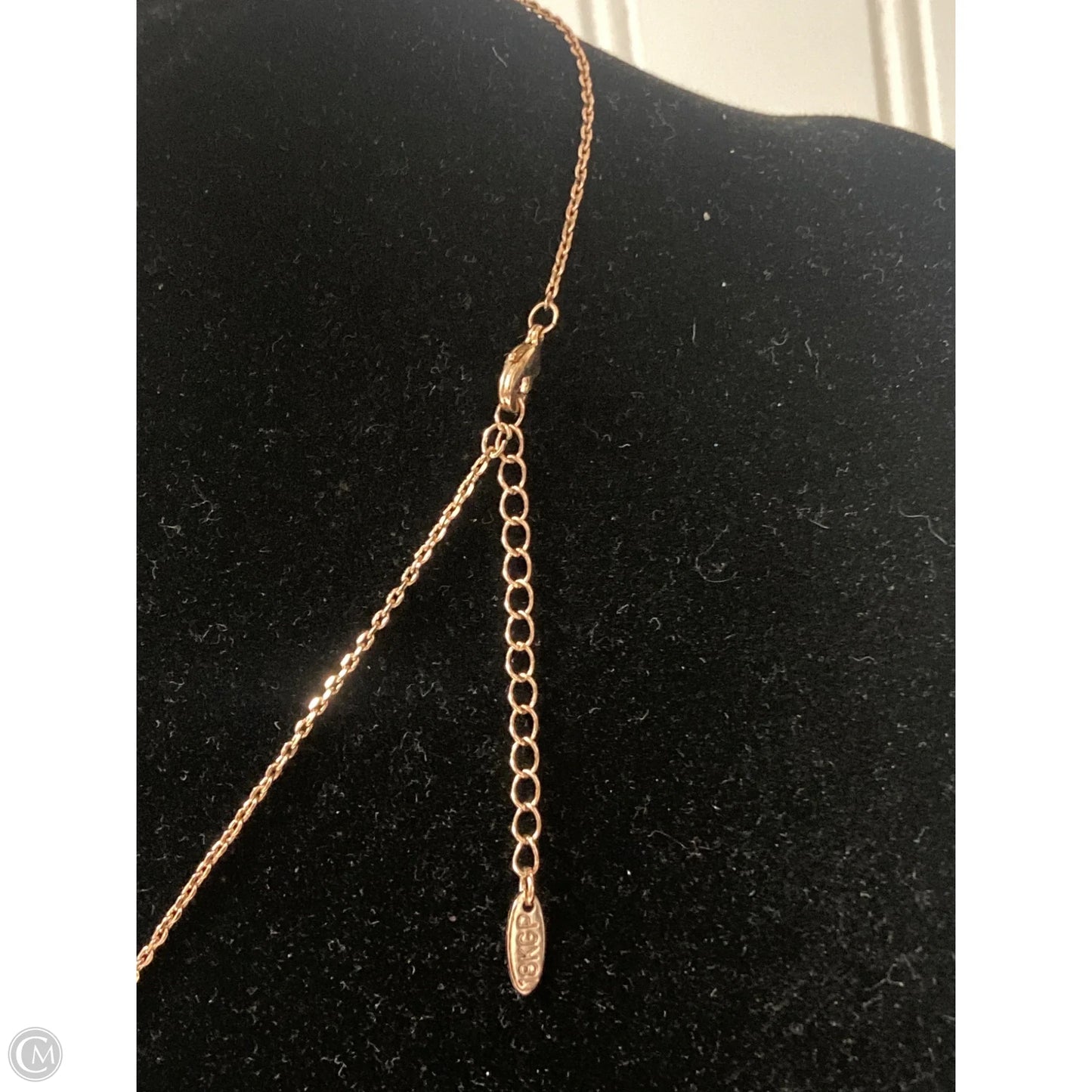 Necklace Chain By Clothes Mentor