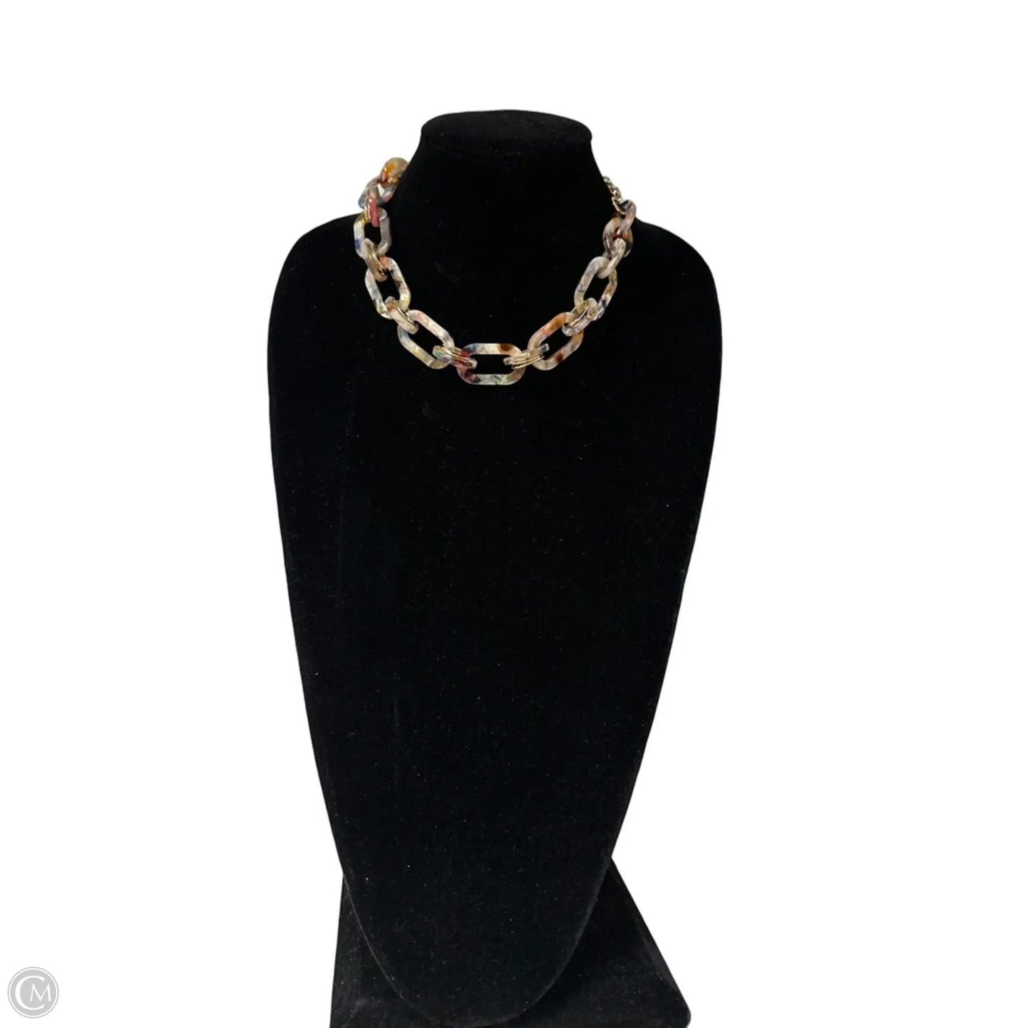 Necklace Chain By Loft