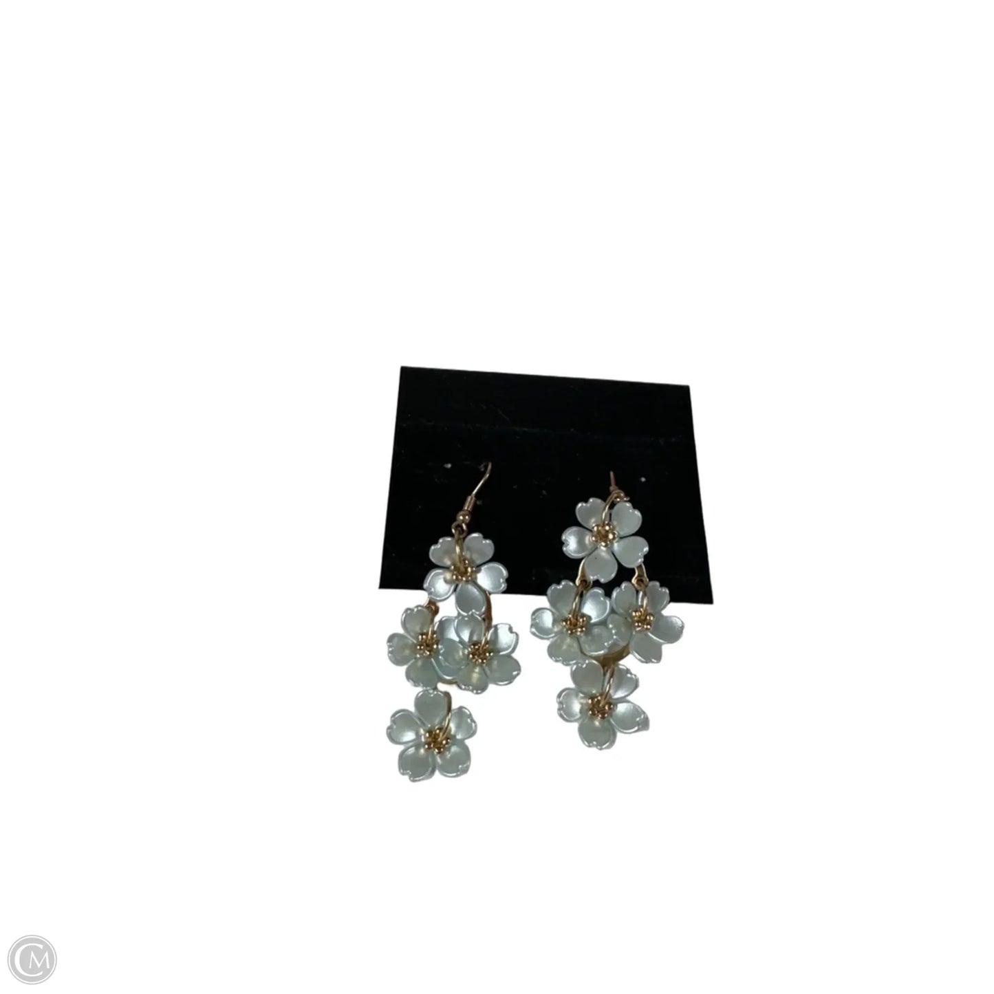 Earrings Dangle/drop By Clothes Mentor