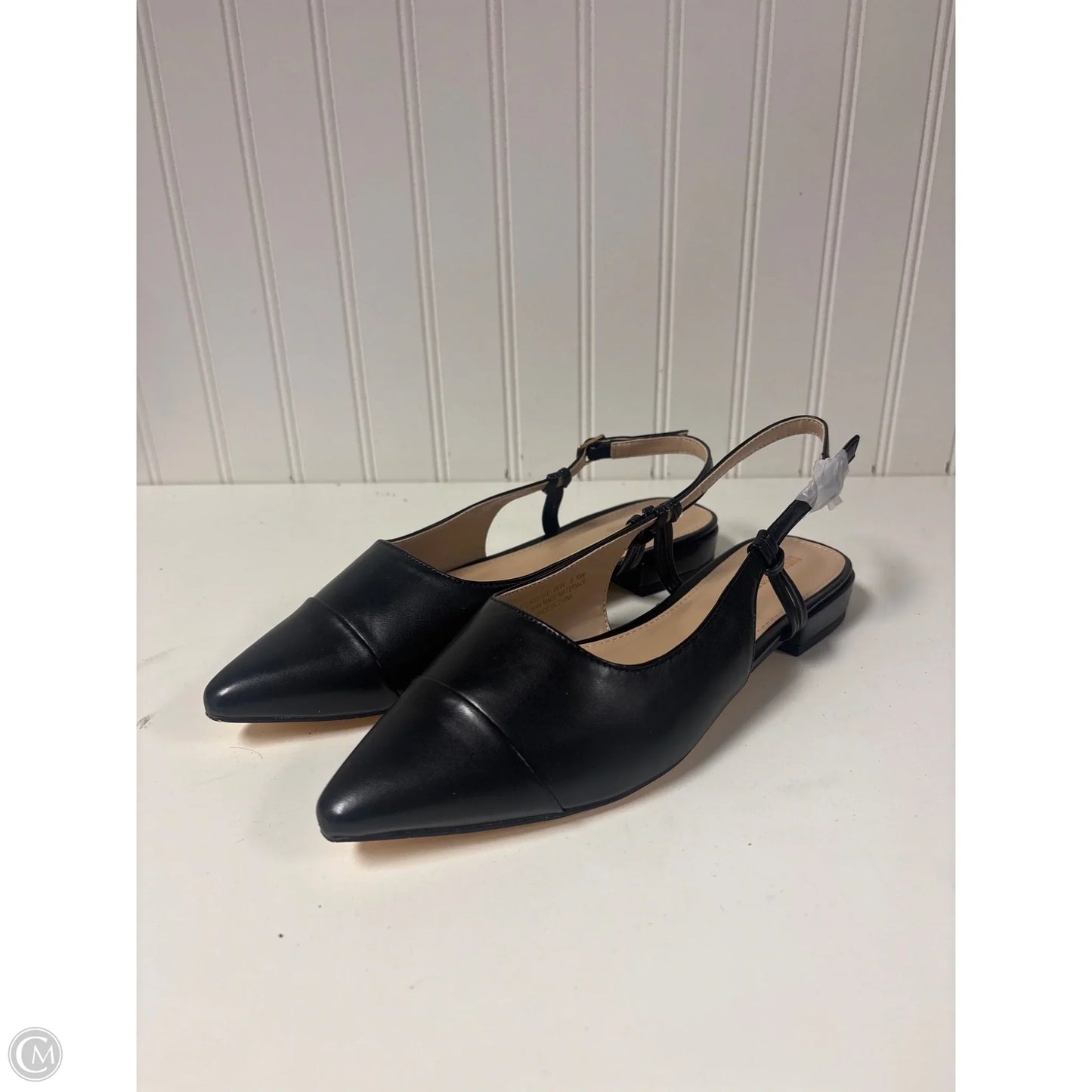 Shoes Heels Block By Cushionaire In Black, Size: 8.5
