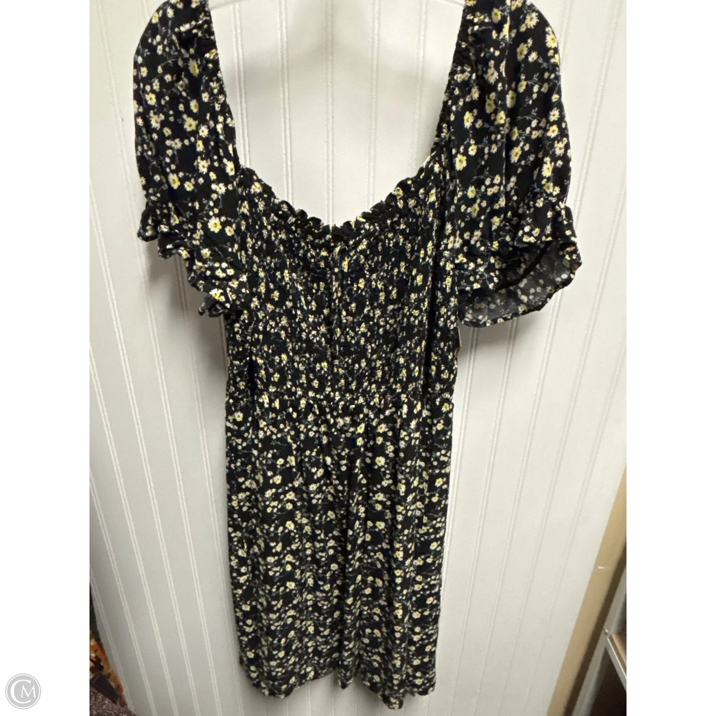 Dress Casual Short By Auw In Black, Size: 2x