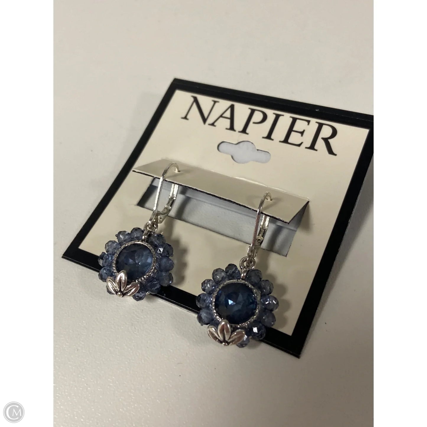 Earrings Dangle/drop By Napier, Size: 1