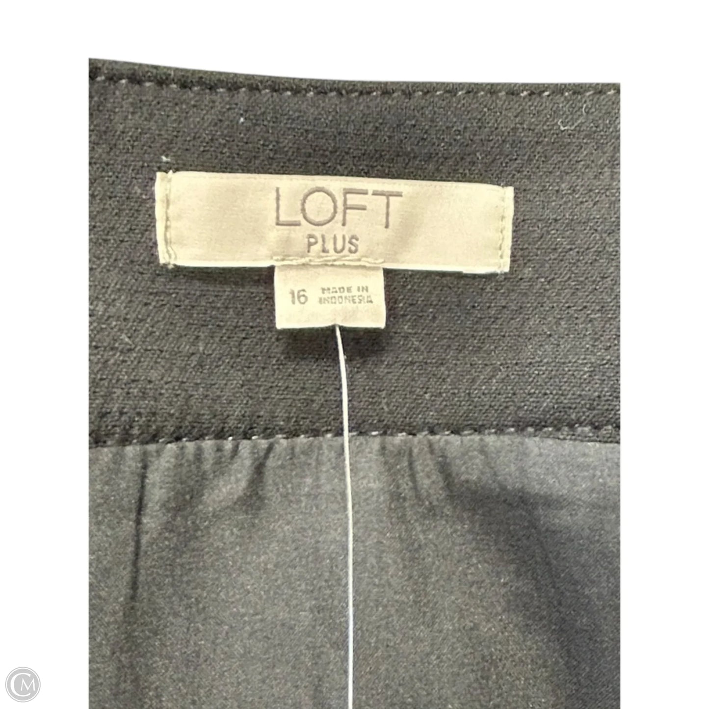 Skirt Mini & Short By Loft In Black, Size: 16