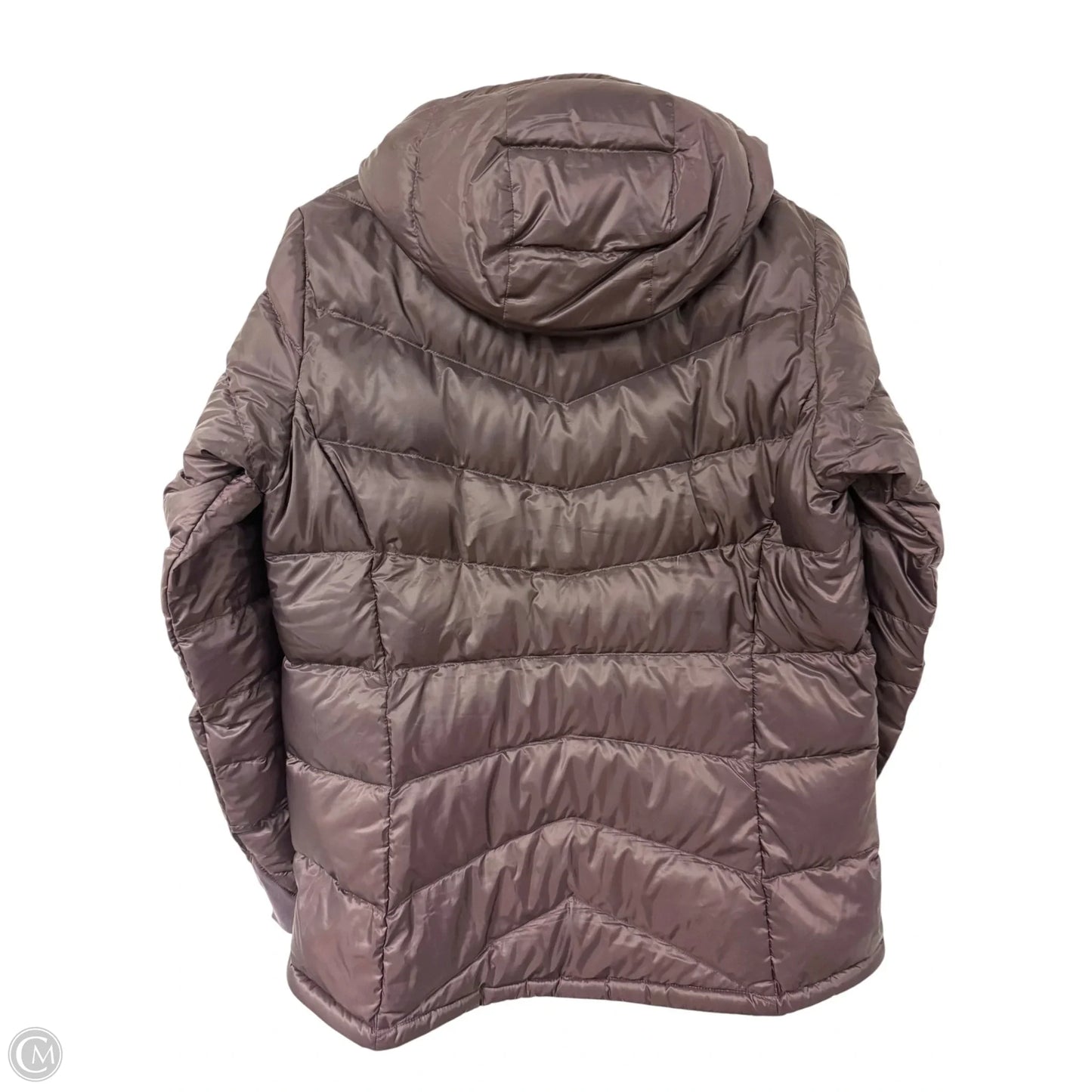 Coat Puffer & Quilted By Eddie Bauer In Purple, Size: M