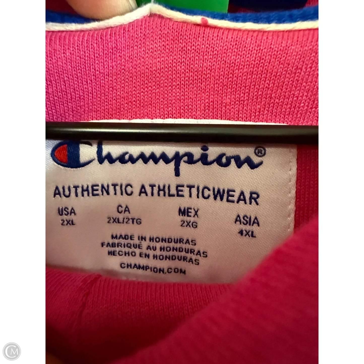 Sweatshirt Hoodie By Champion In Pink, Size: 2x