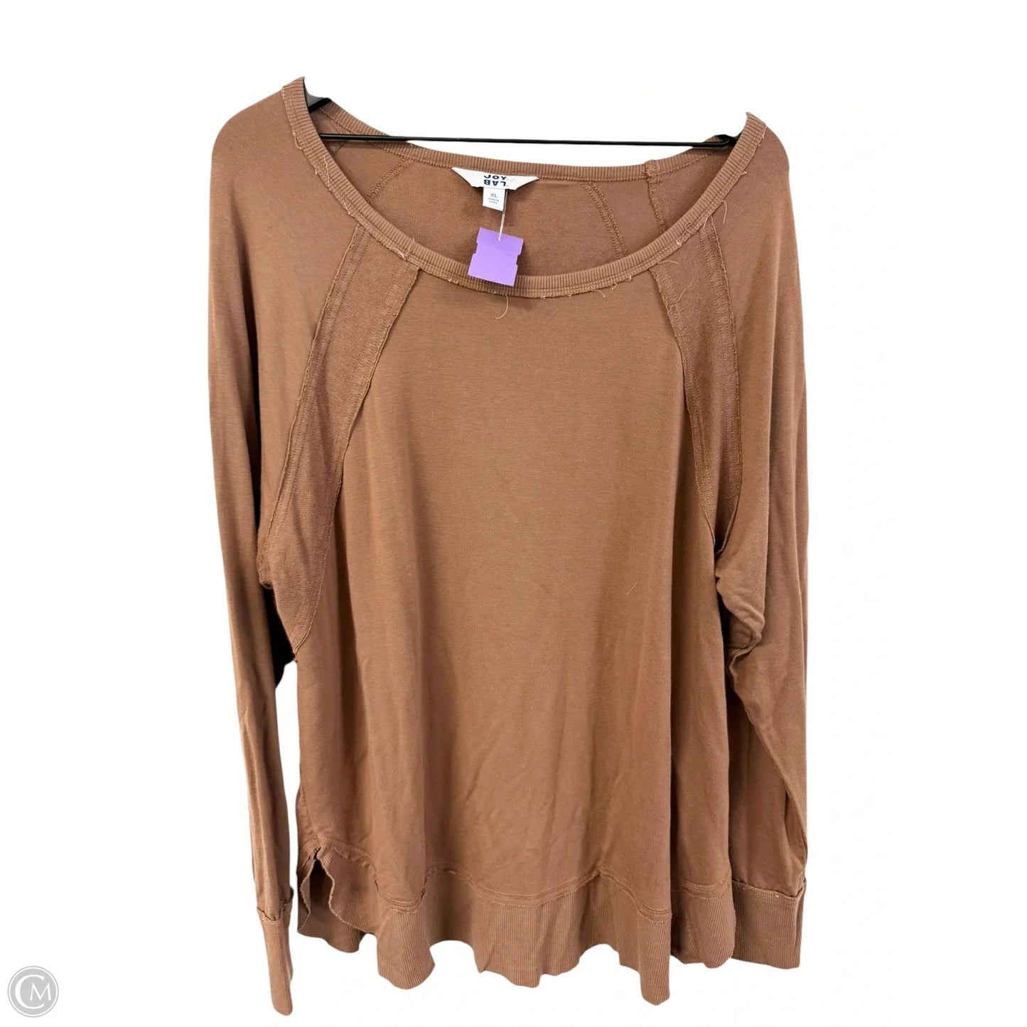 Athletic Top Long Sleeve Crewneck By Joy Lab In Brown, Size: Xl
